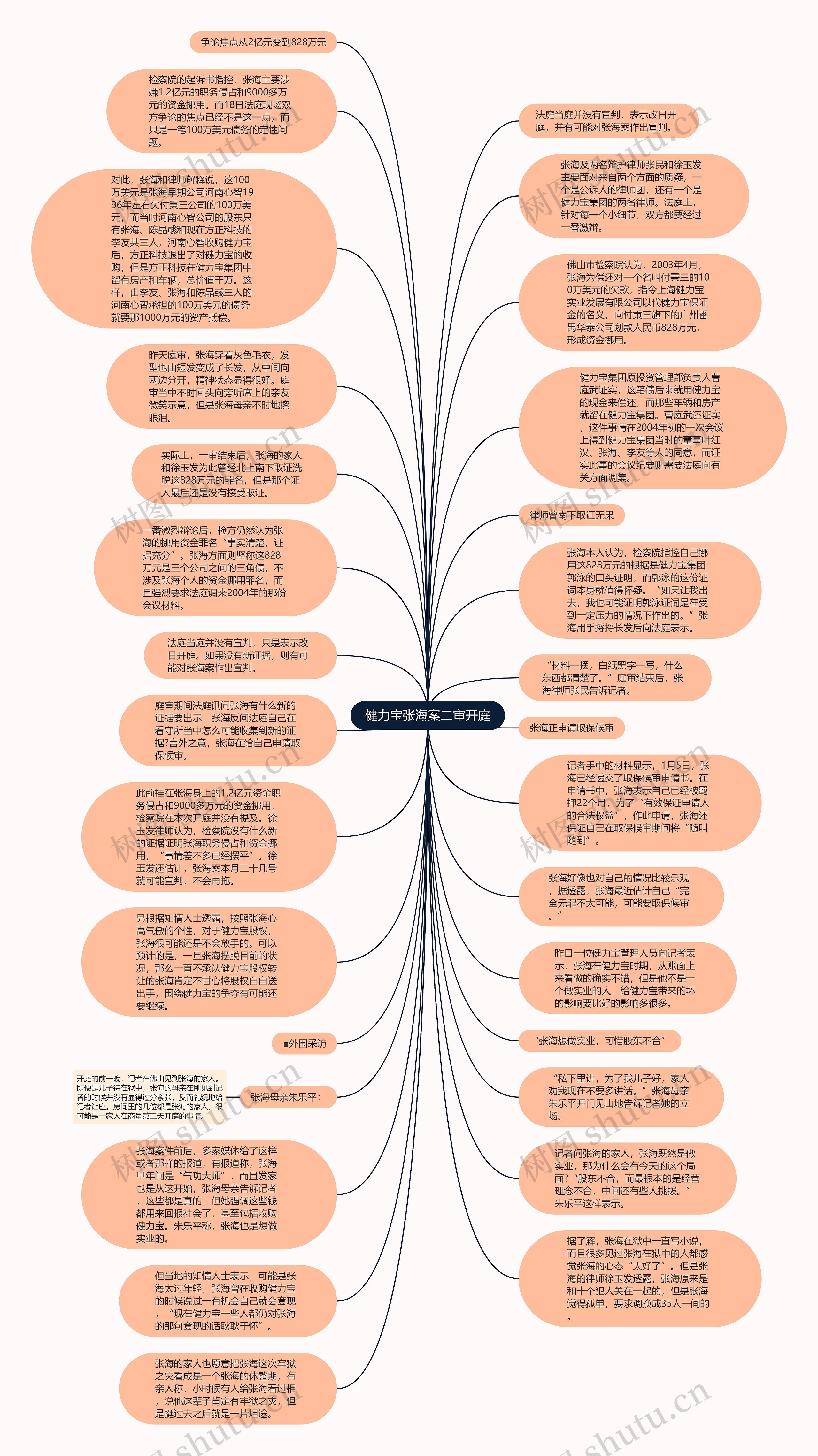 健力宝张海案二审开庭思维导图