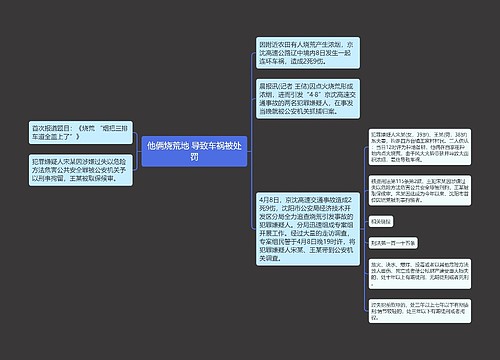 他俩烧荒地 导致车祸被处罚