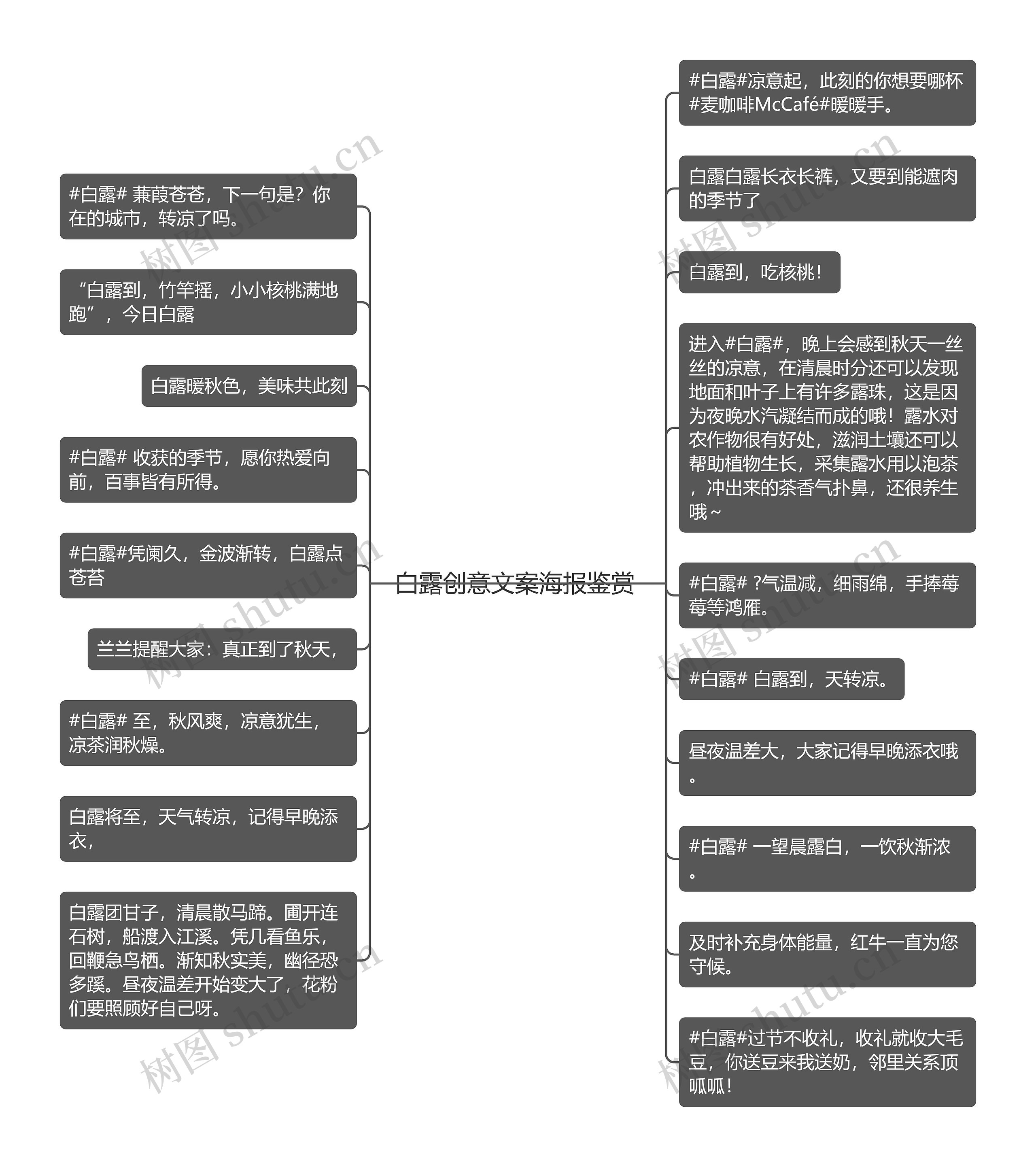 白露创意文案海报鉴赏 