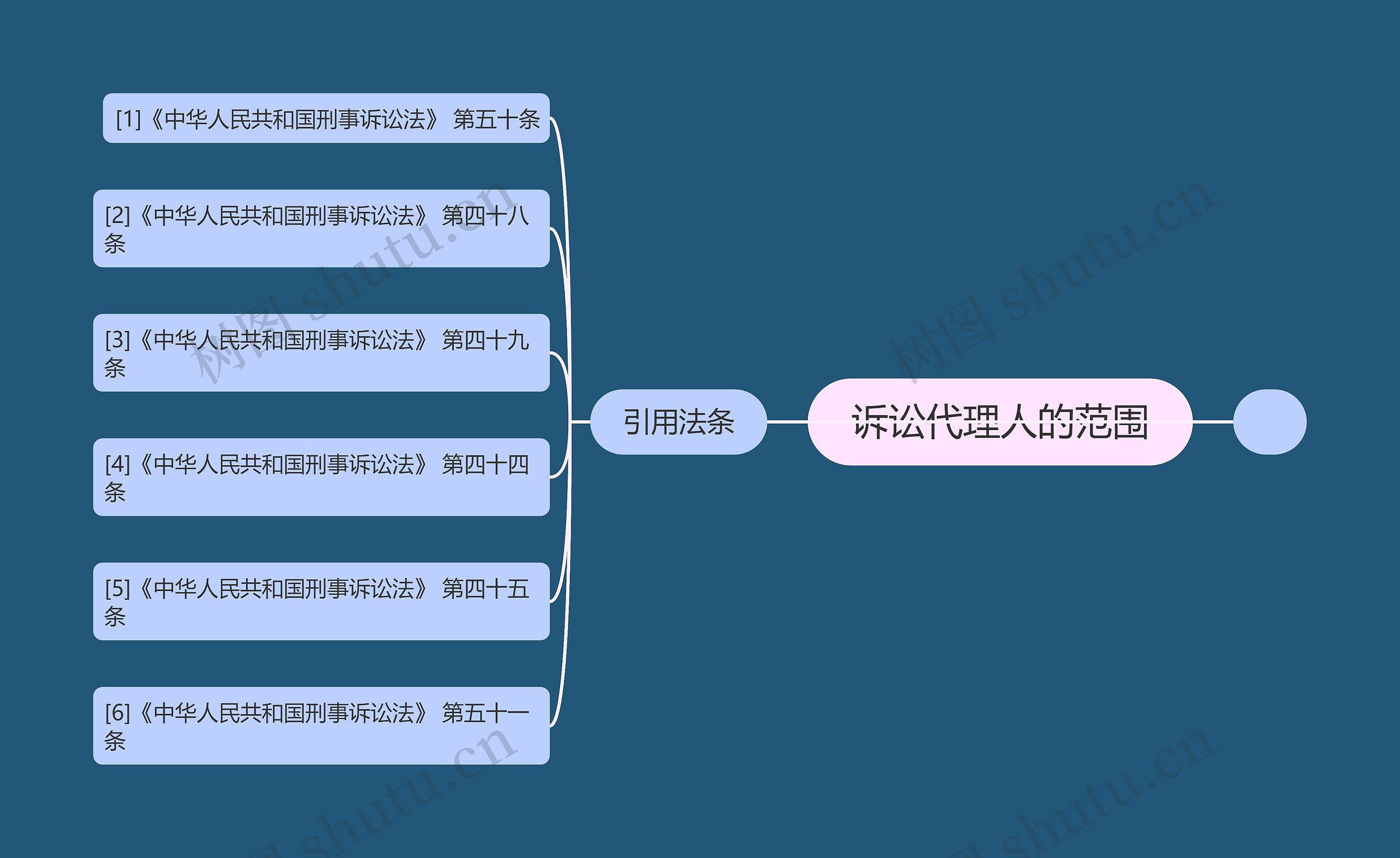 诉讼代理人的范围