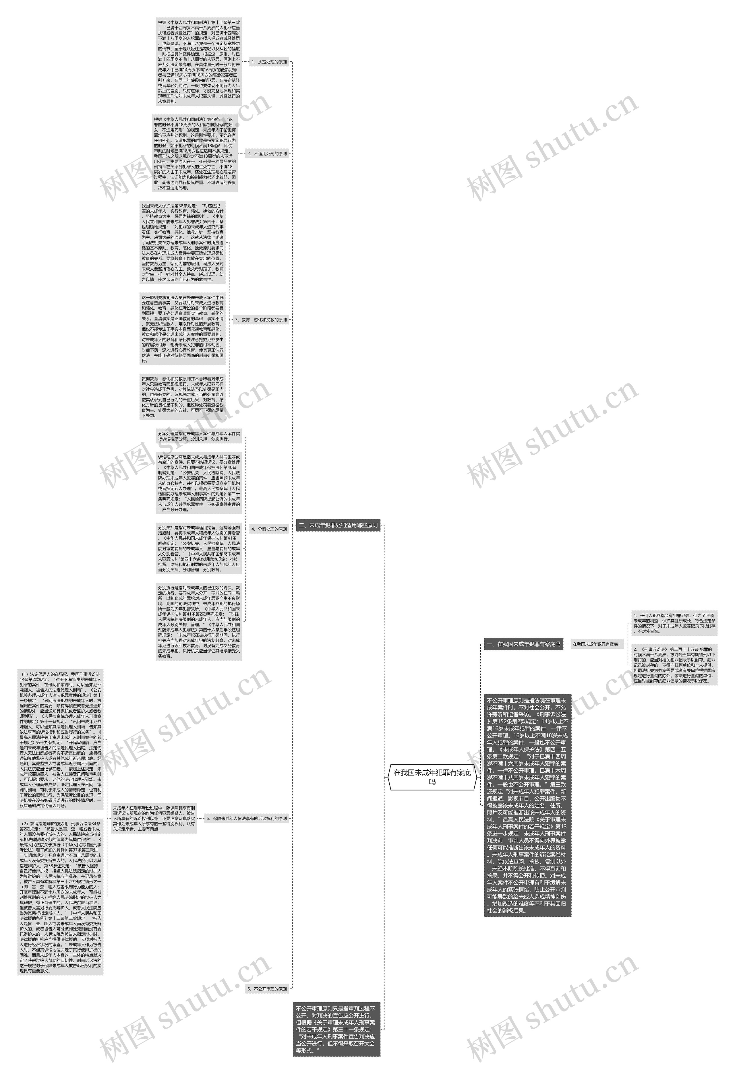 在我国未成年犯罪有案底吗思维导图