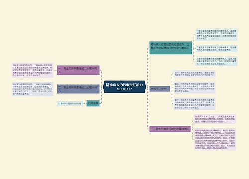 精神病人的刑事责任能力如何区分?