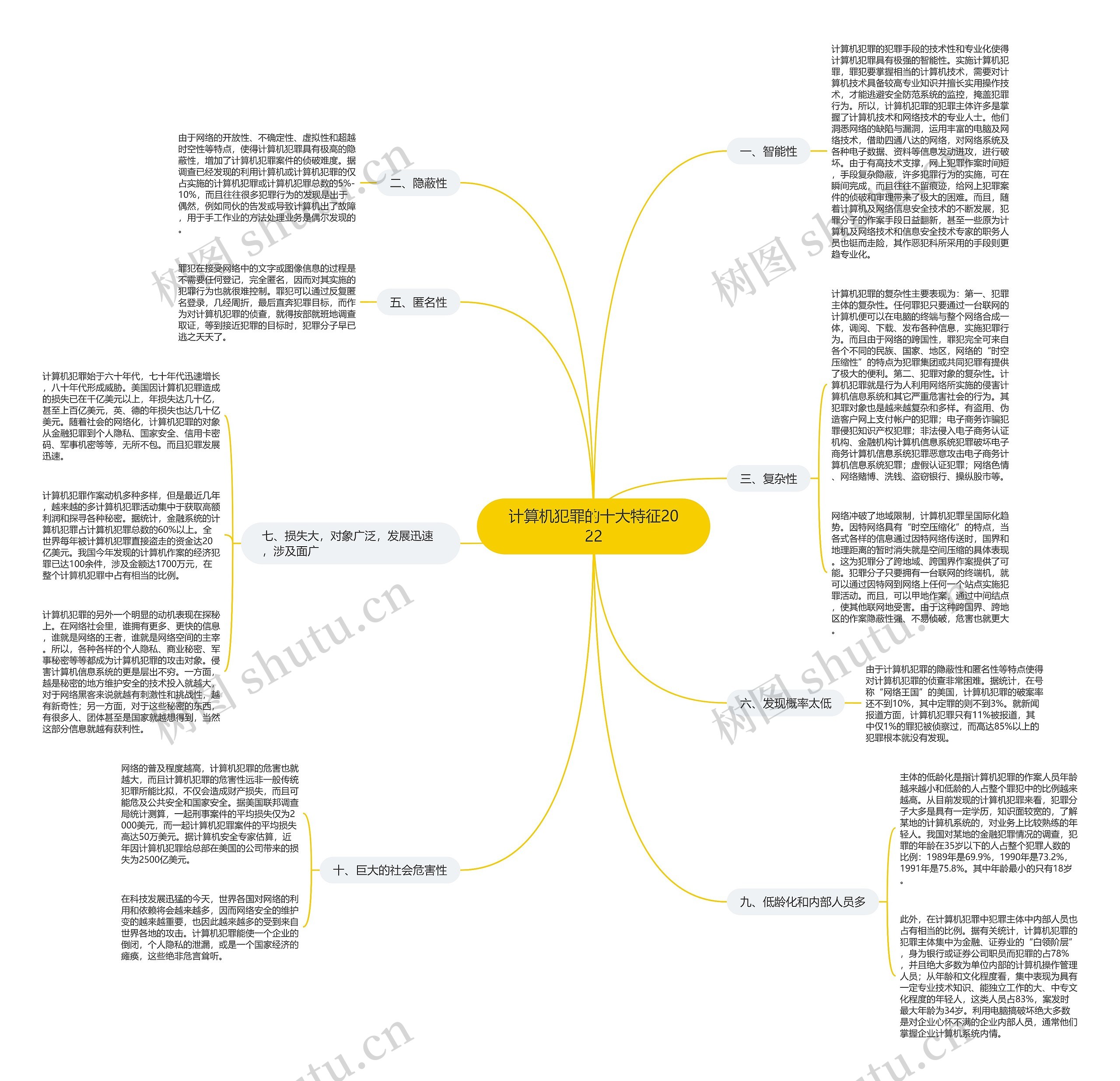 计算机犯罪的十大特征2022思维导图