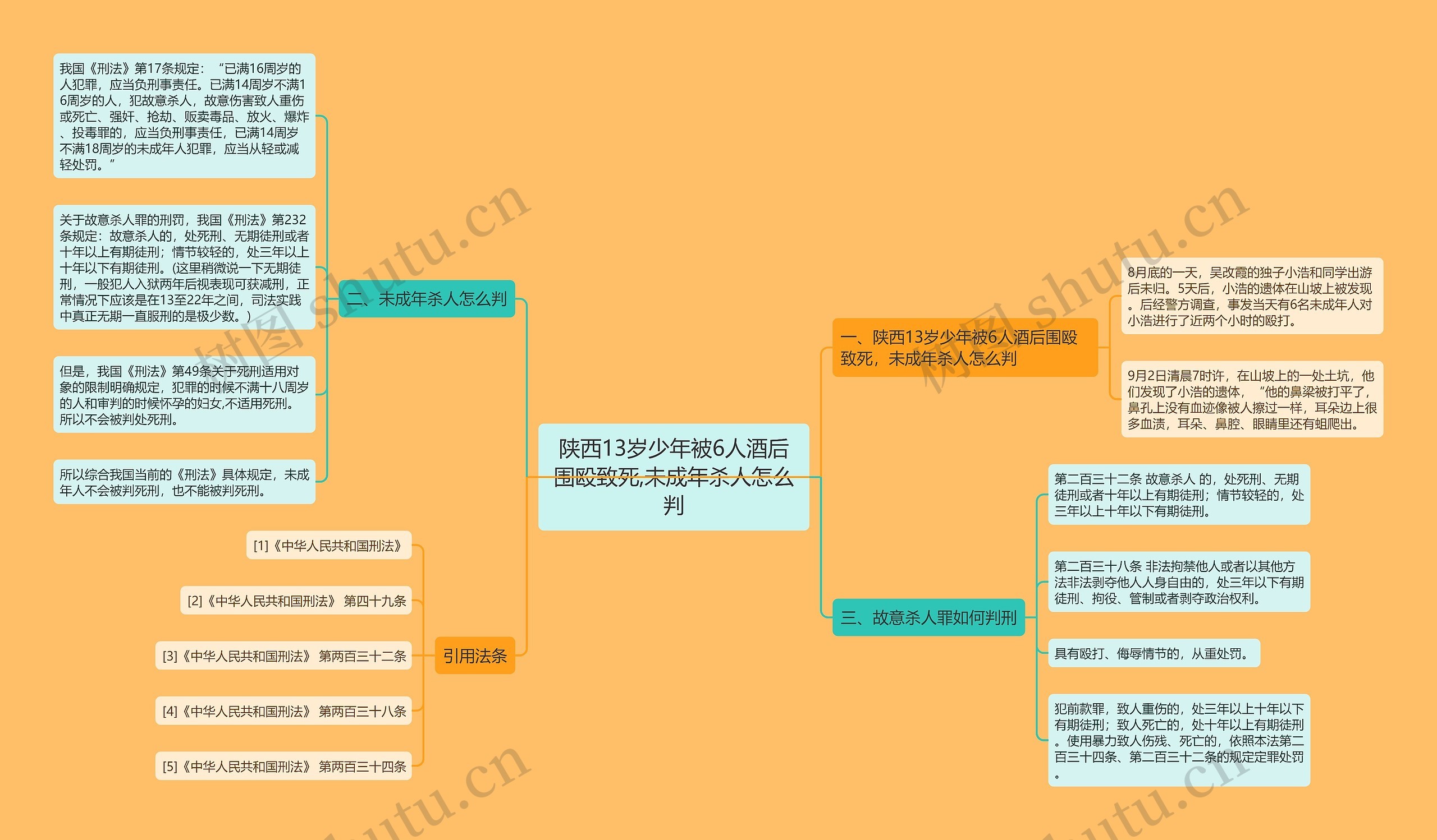 陕西13岁少年被6人酒后围殴致死,未成年杀人怎么判思维导图