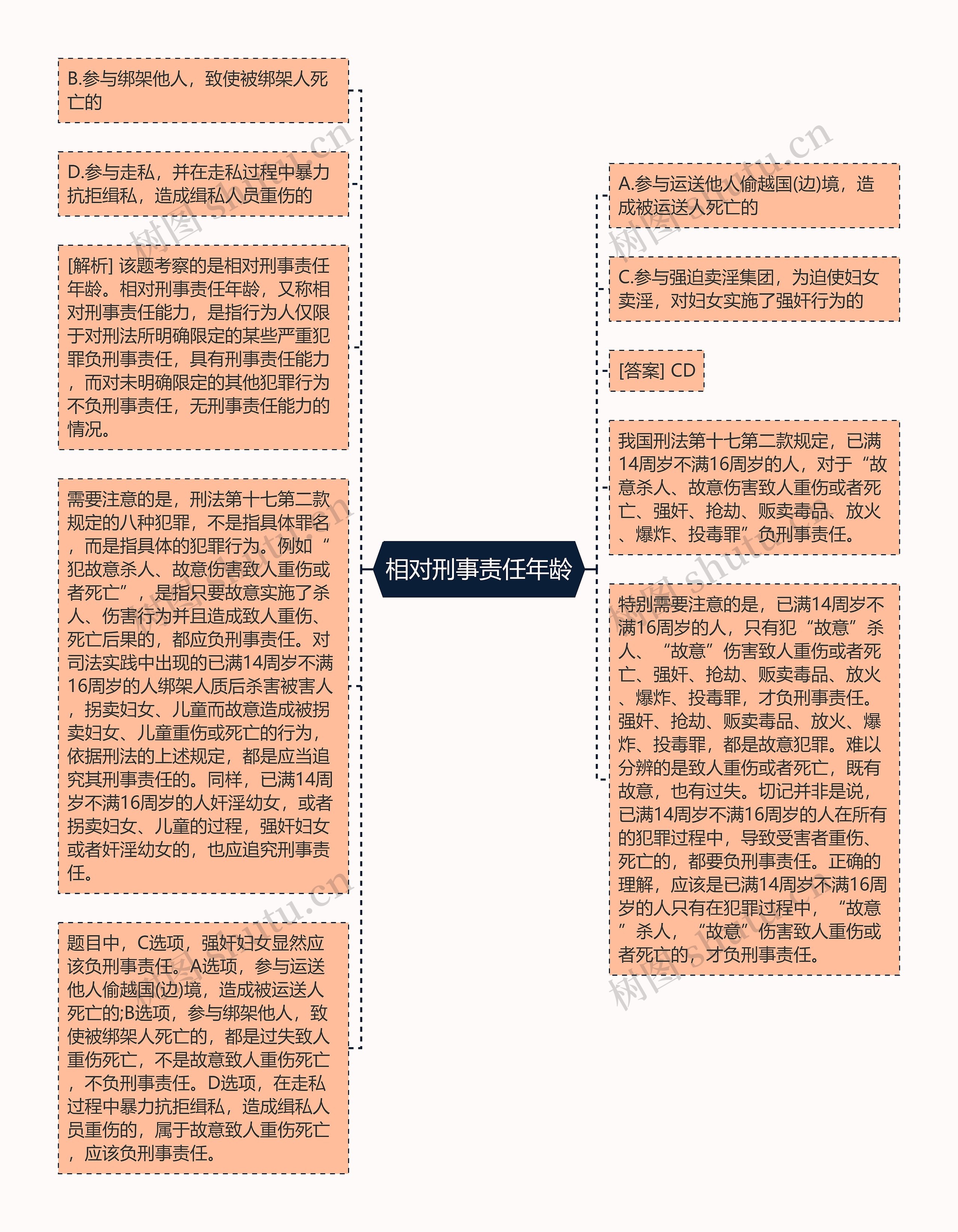 相对刑事责任年龄思维导图