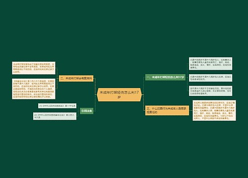 未成年打架轻伤怎么判17岁