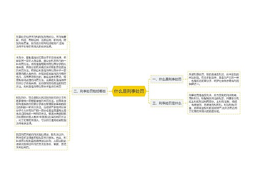 什么是刑事处罚