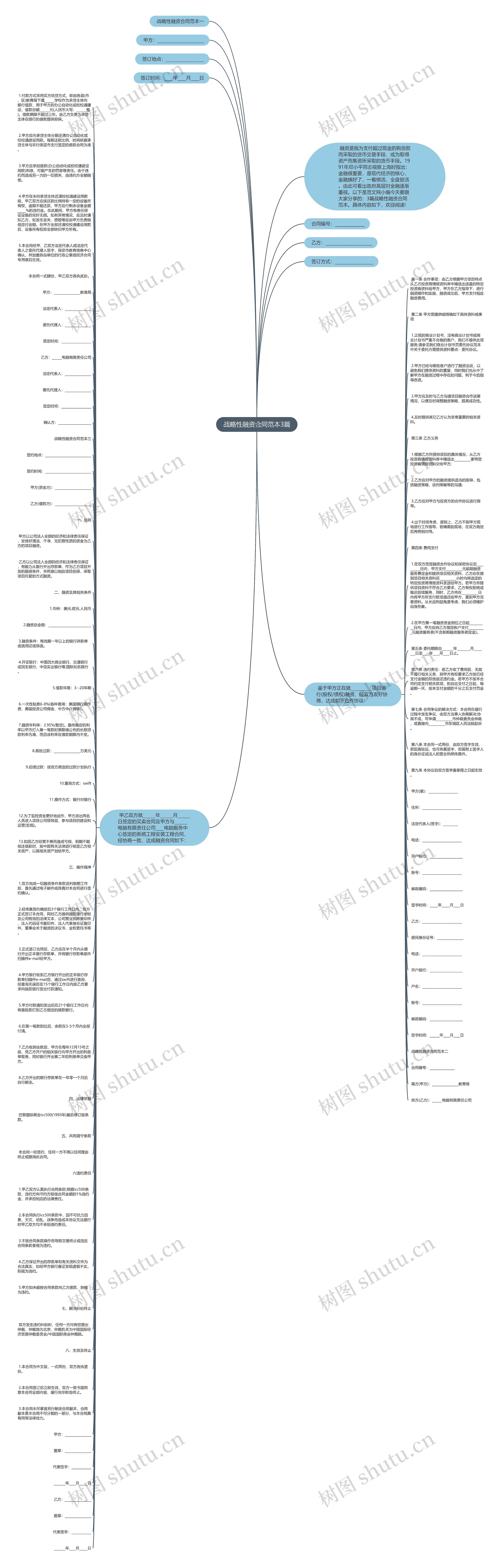战略性融资合同范本3篇思维导图
