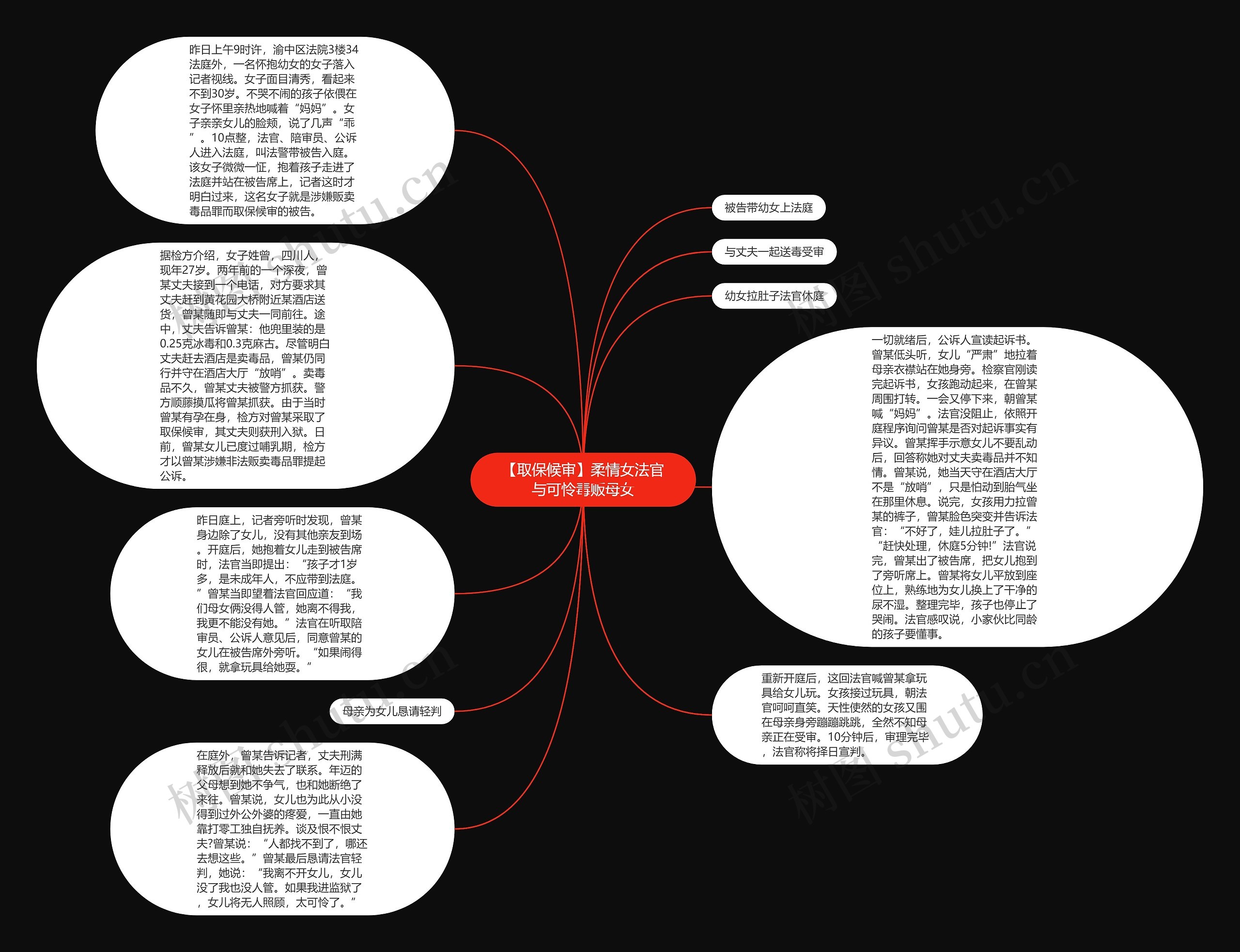 【取保候审】柔情女法官与可怜毒贩母女思维导图