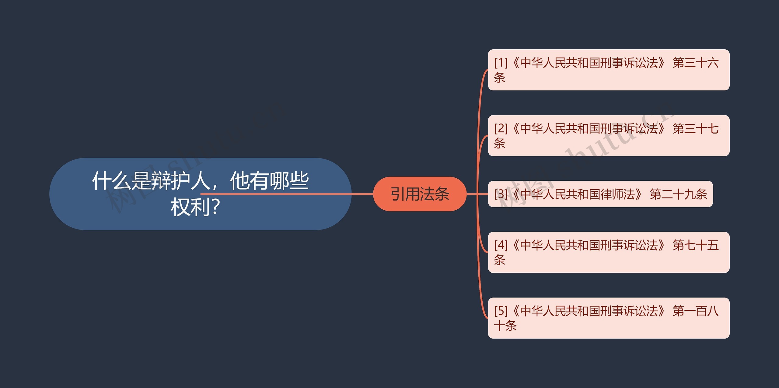 什么是辩护人，他有哪些权利？思维导图