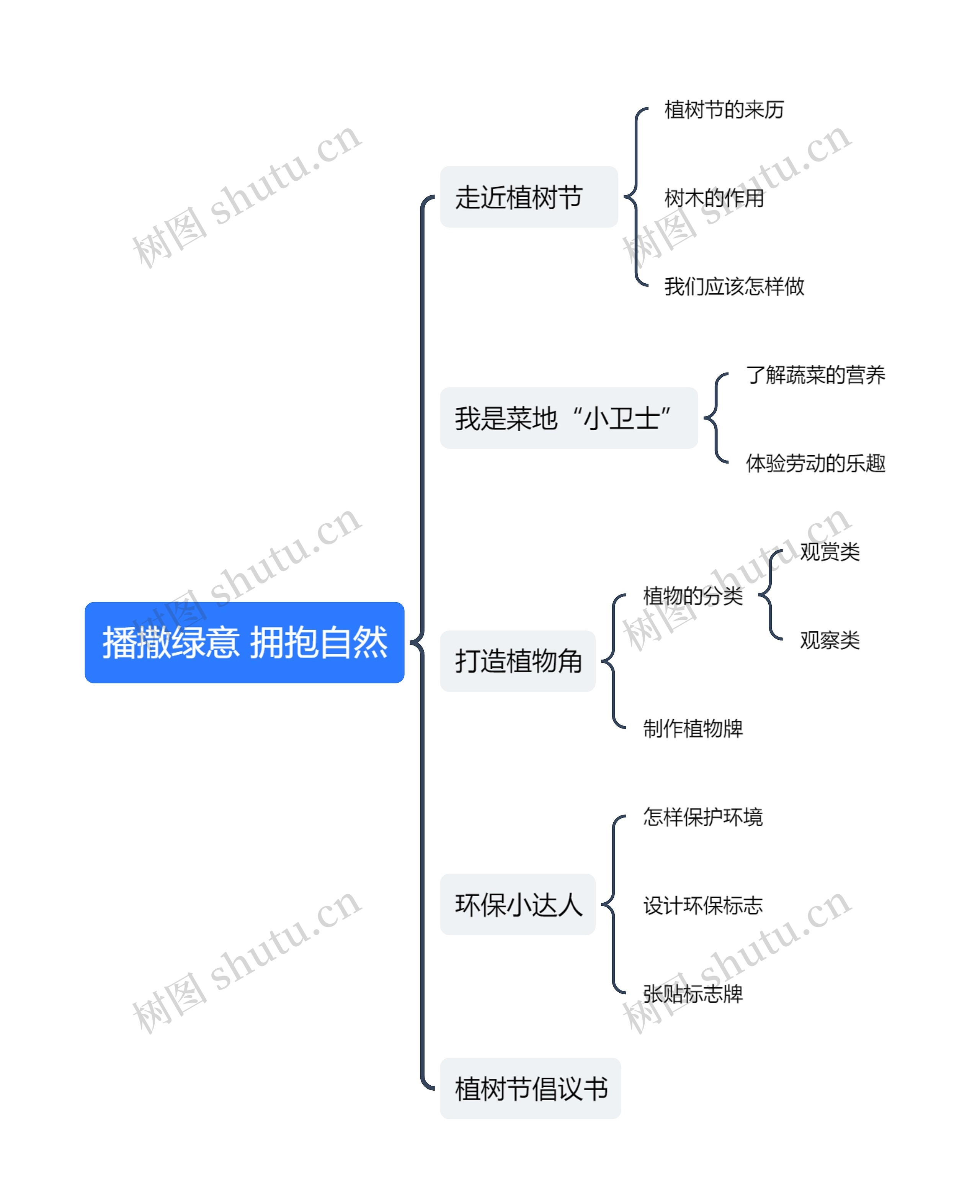 播撒绿意 拥抱自然思维导图