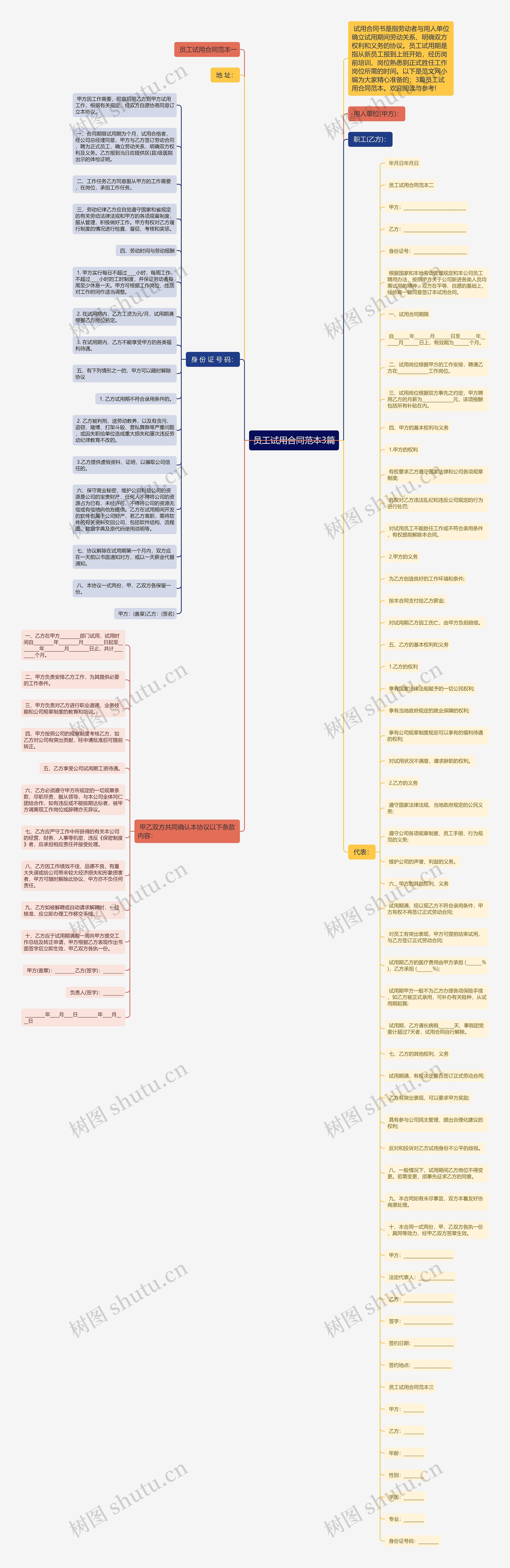 员工试用合同范本3篇思维导图