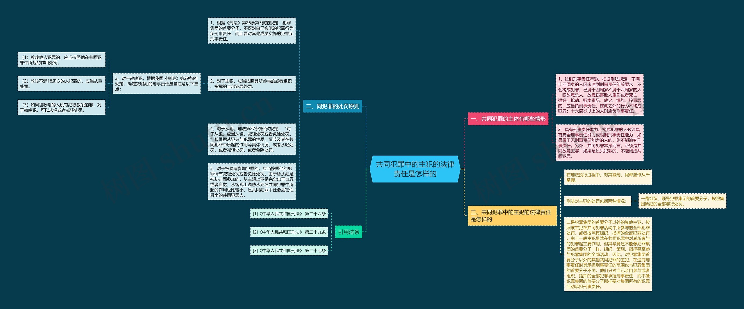 共同犯罪中的主犯的法律责任是怎样的思维导图