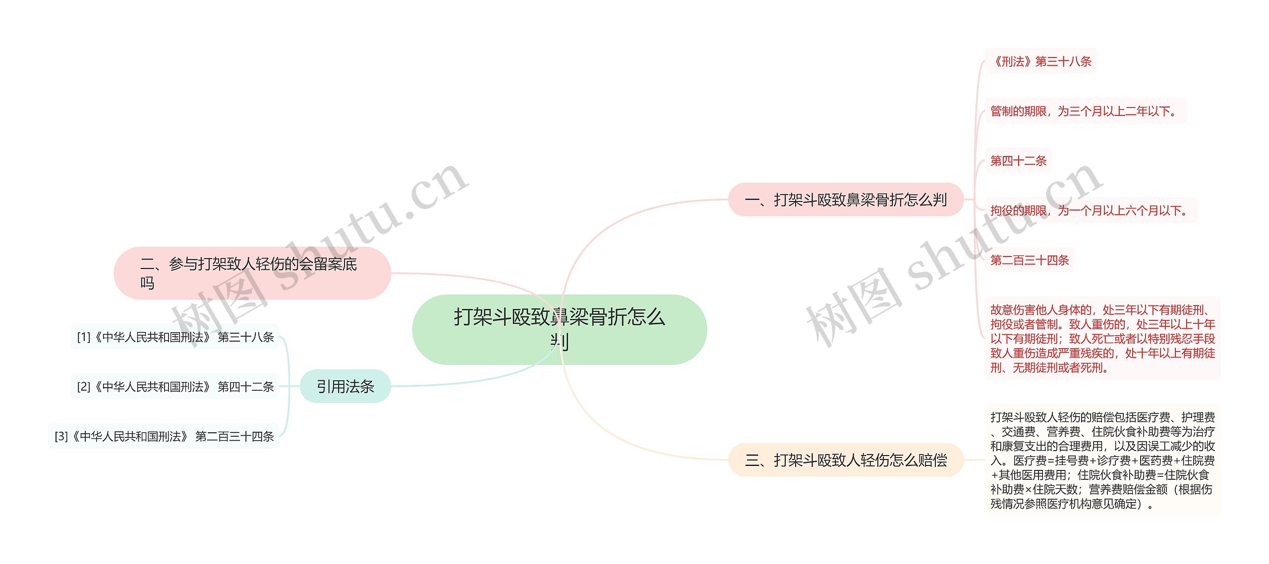 打架斗殴致鼻梁骨折怎么判思维导图