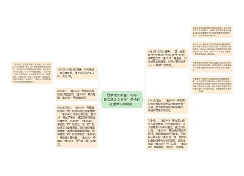 “西蒙诺夫斯基”轮与“鲁文渔３０９９”号渔轮碰撞争议仲裁案  