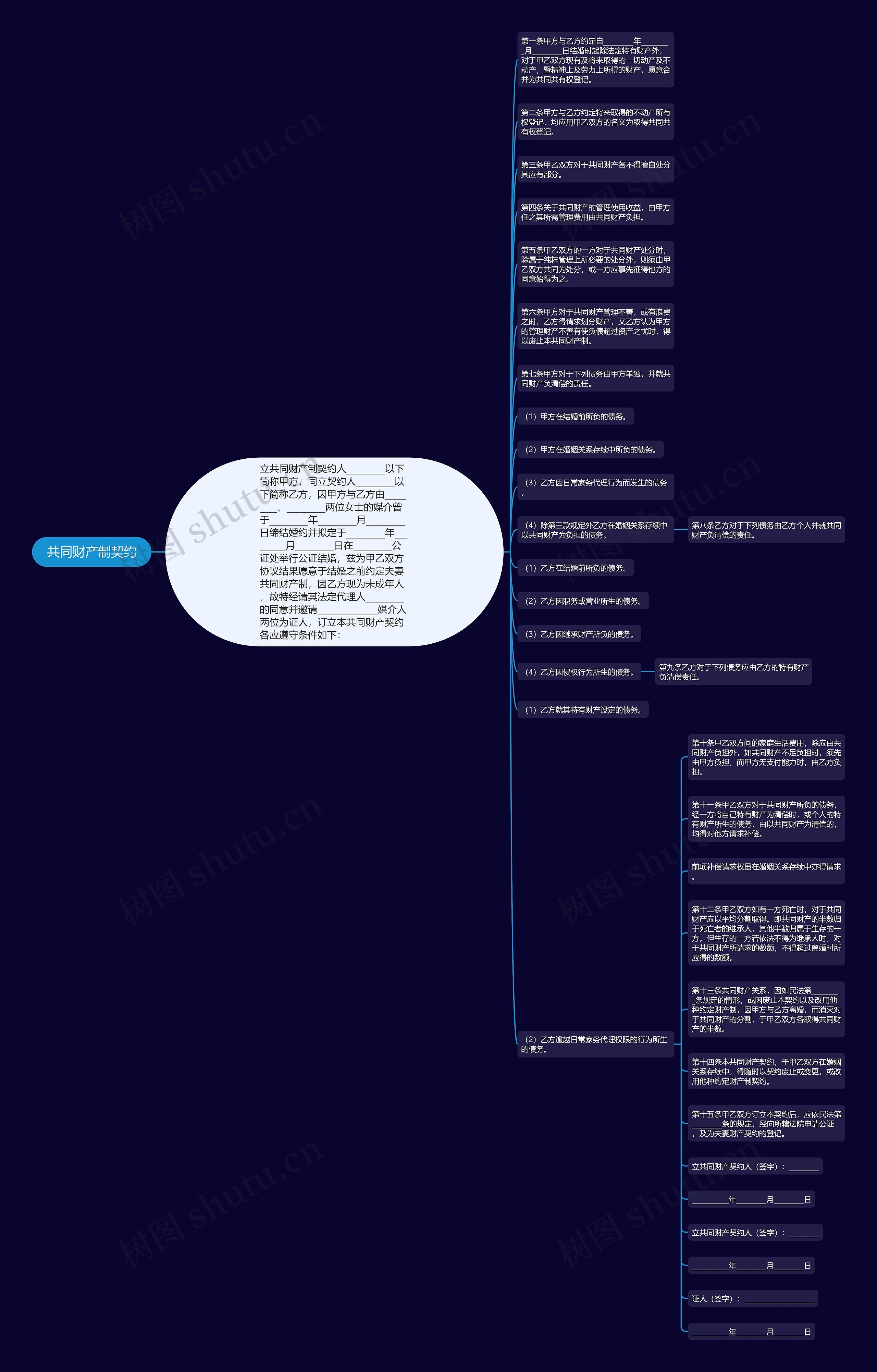 共同财产制契约思维导图