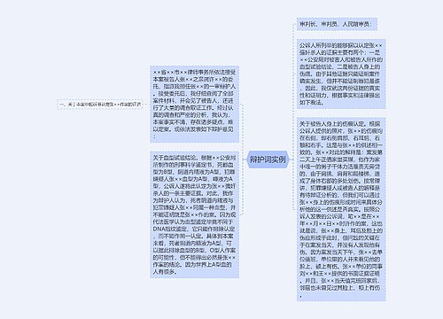 辩护词实例