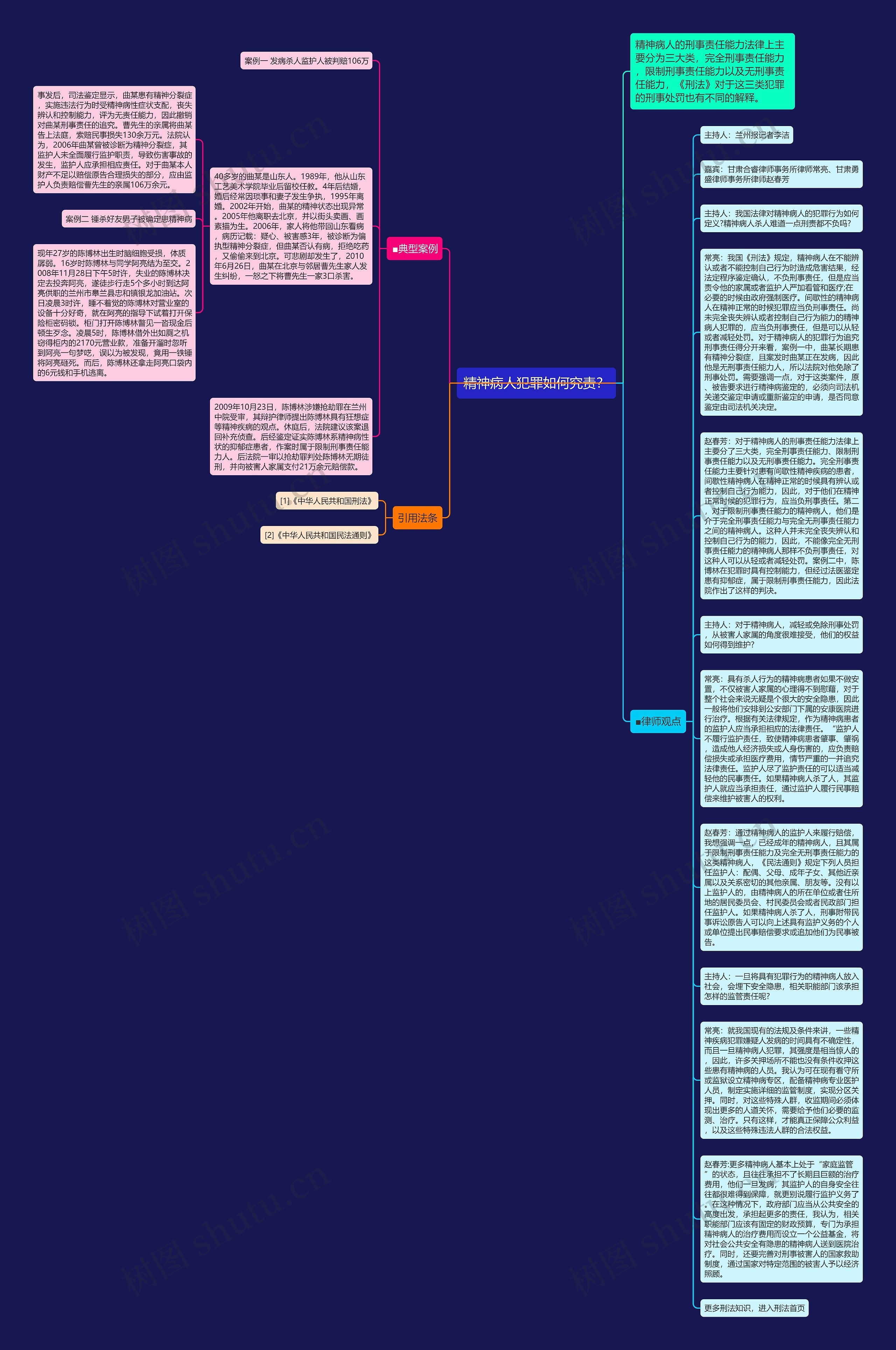 精神病人犯罪如何究责？思维导图