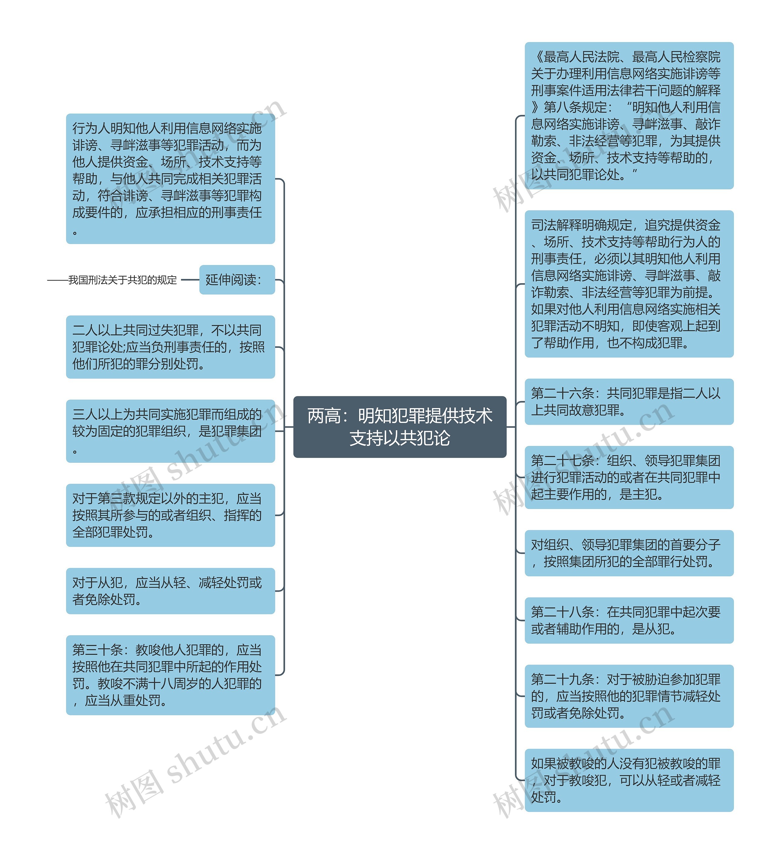 两高：明知犯罪提供技术支持以共犯论