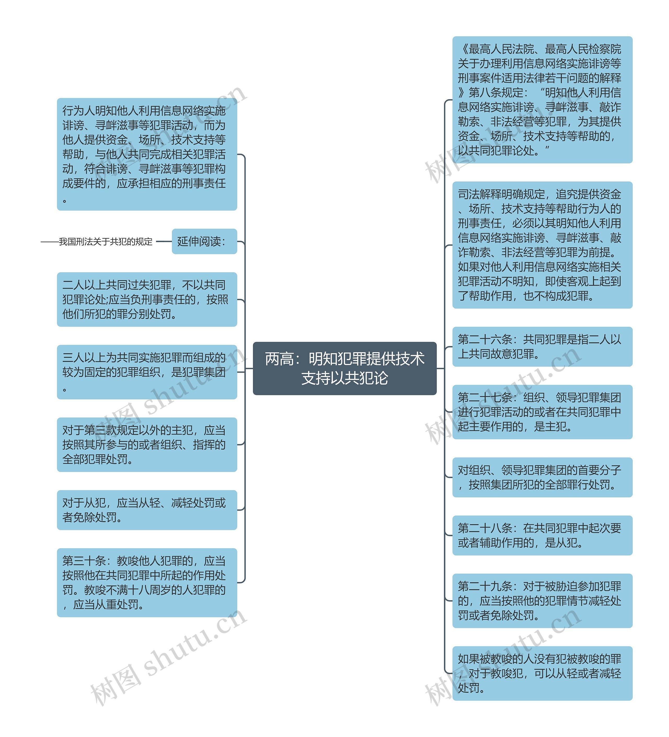 两高：明知犯罪提供技术支持以共犯论思维导图