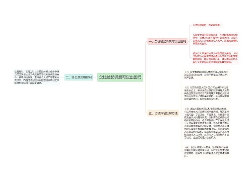 欠钱被起诉后可以出国吗