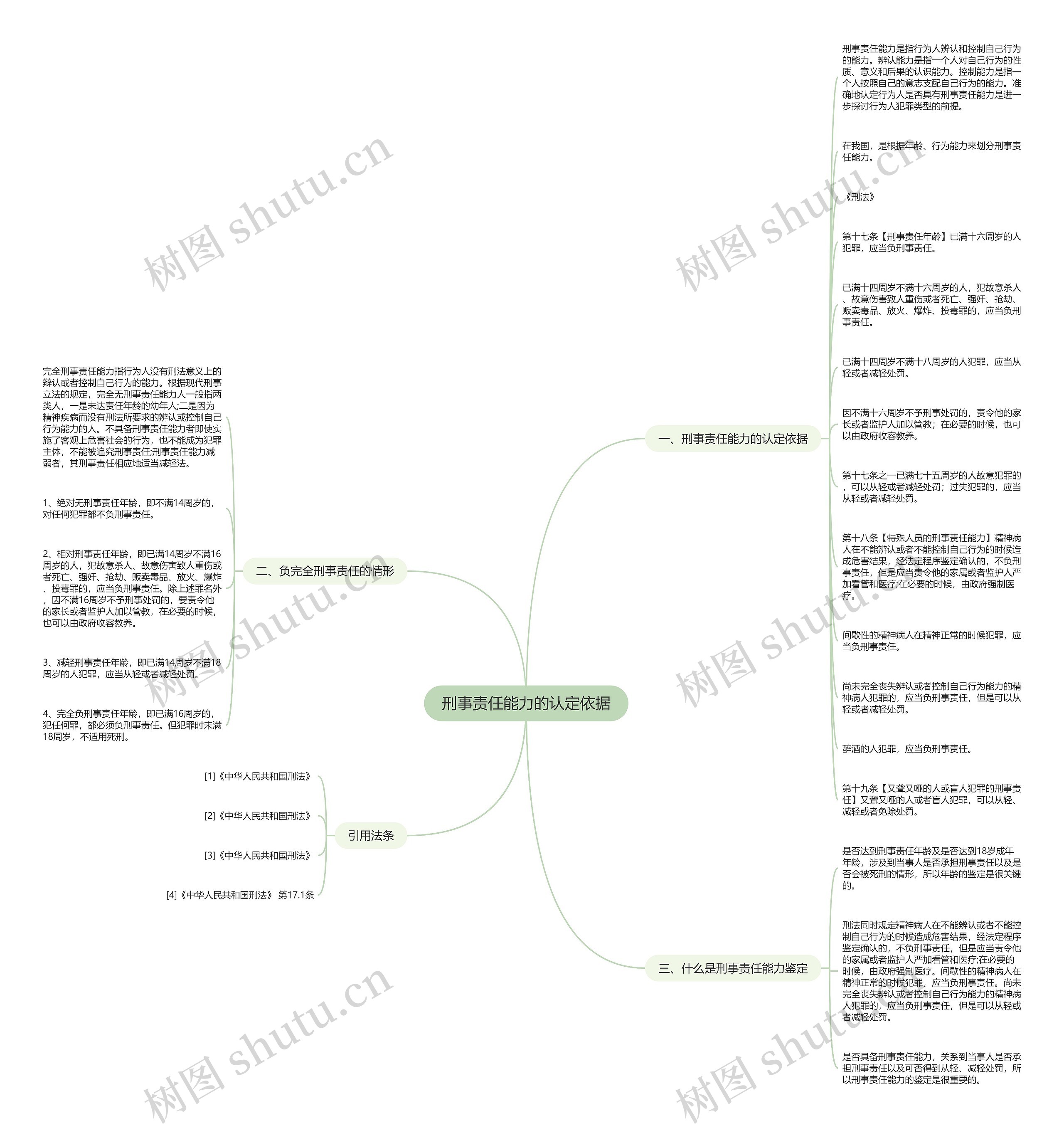 刑事责任能力的认定依据思维导图