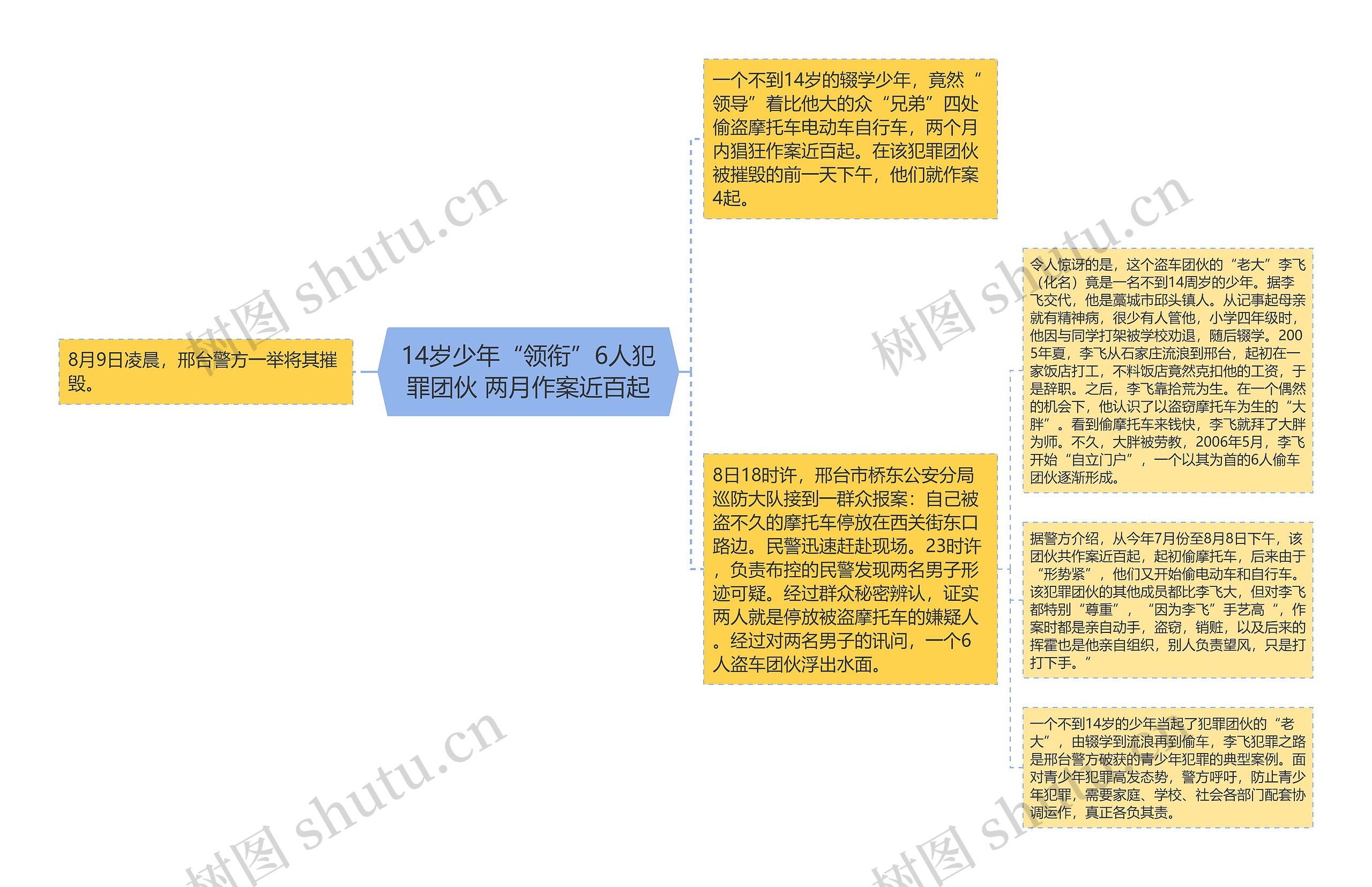 14岁少年“领衔”6人犯罪团伙 两月作案近百起思维导图