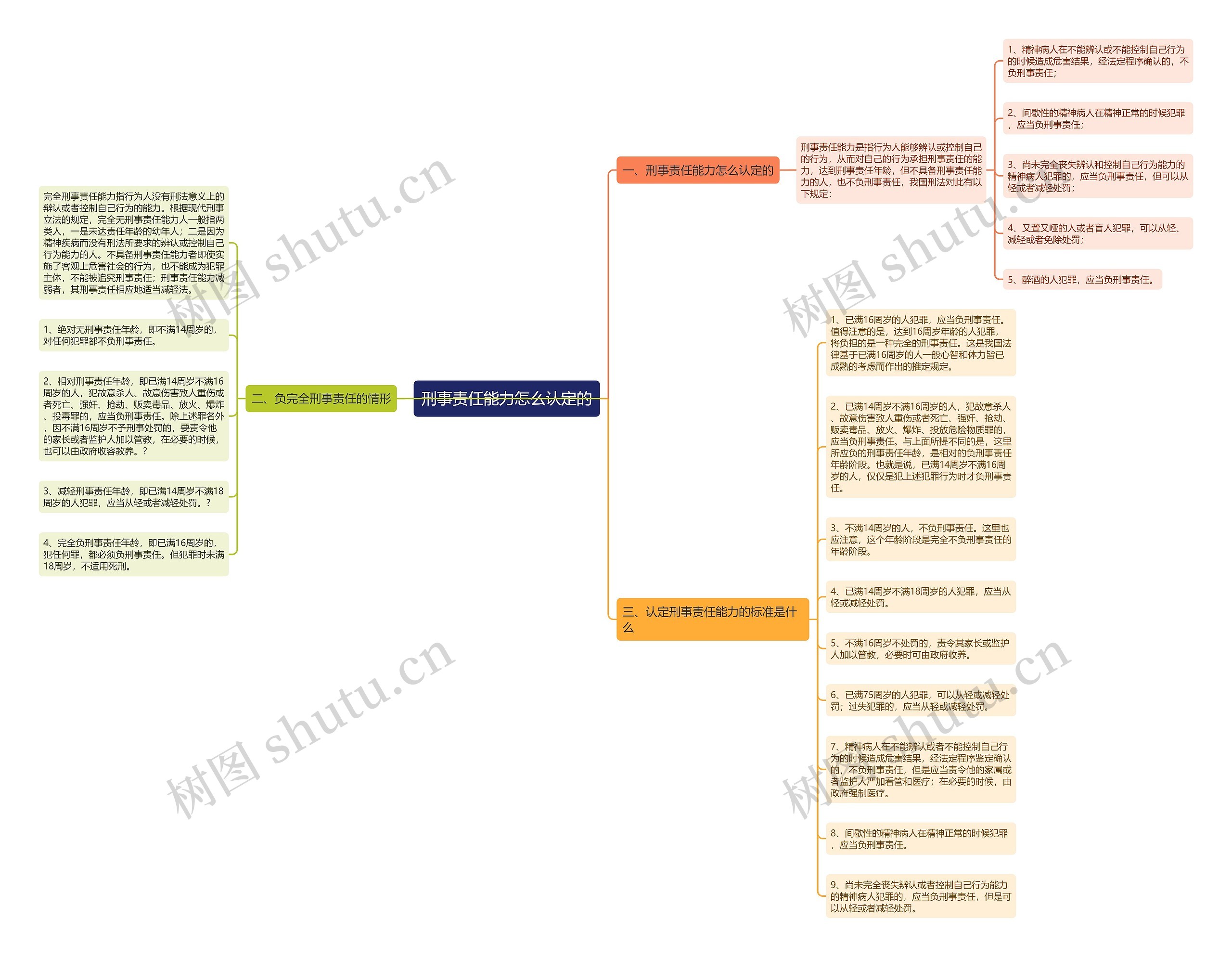 刑事责任能力怎么认定的思维导图