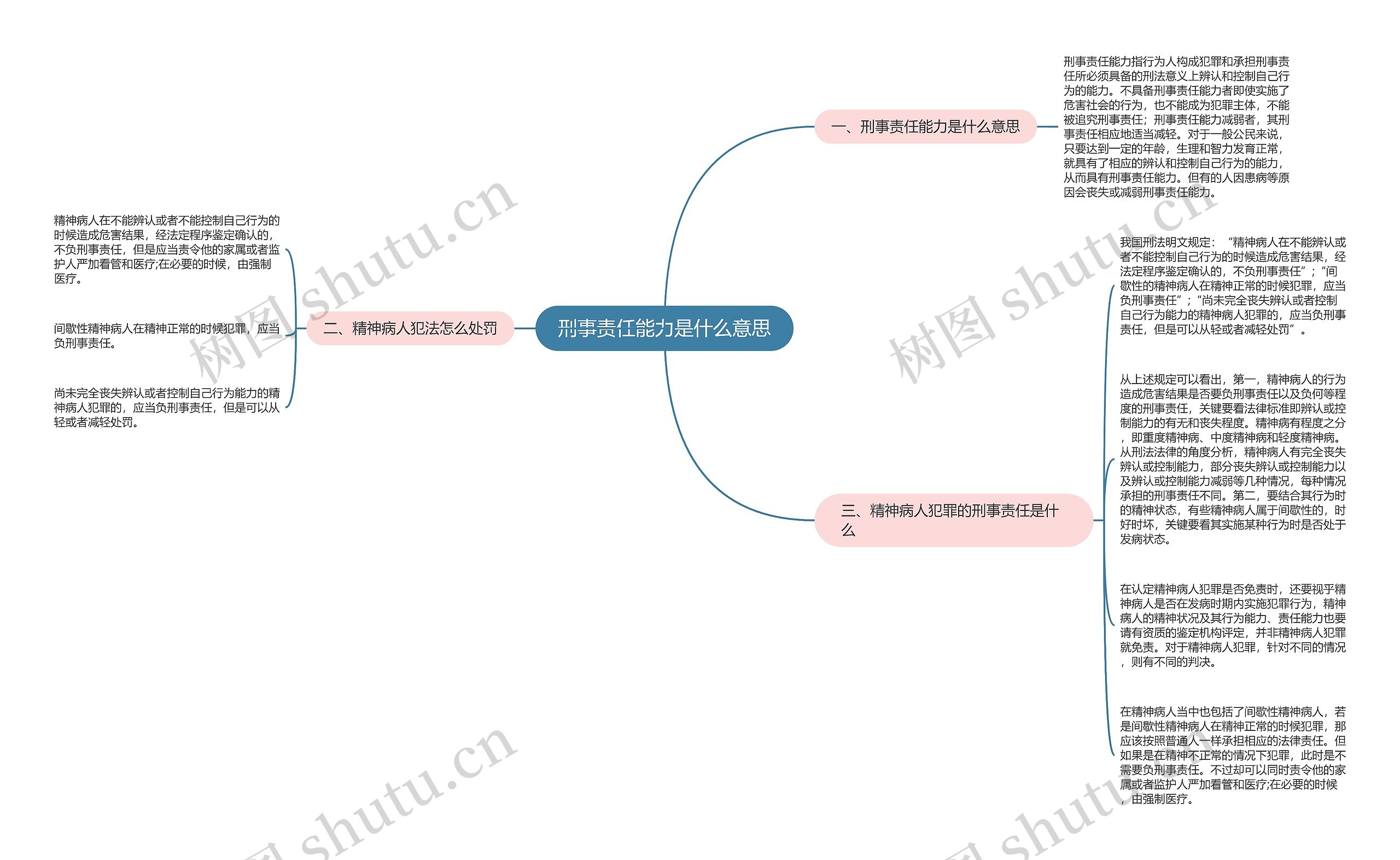 刑事责任能力是什么意思思维导图