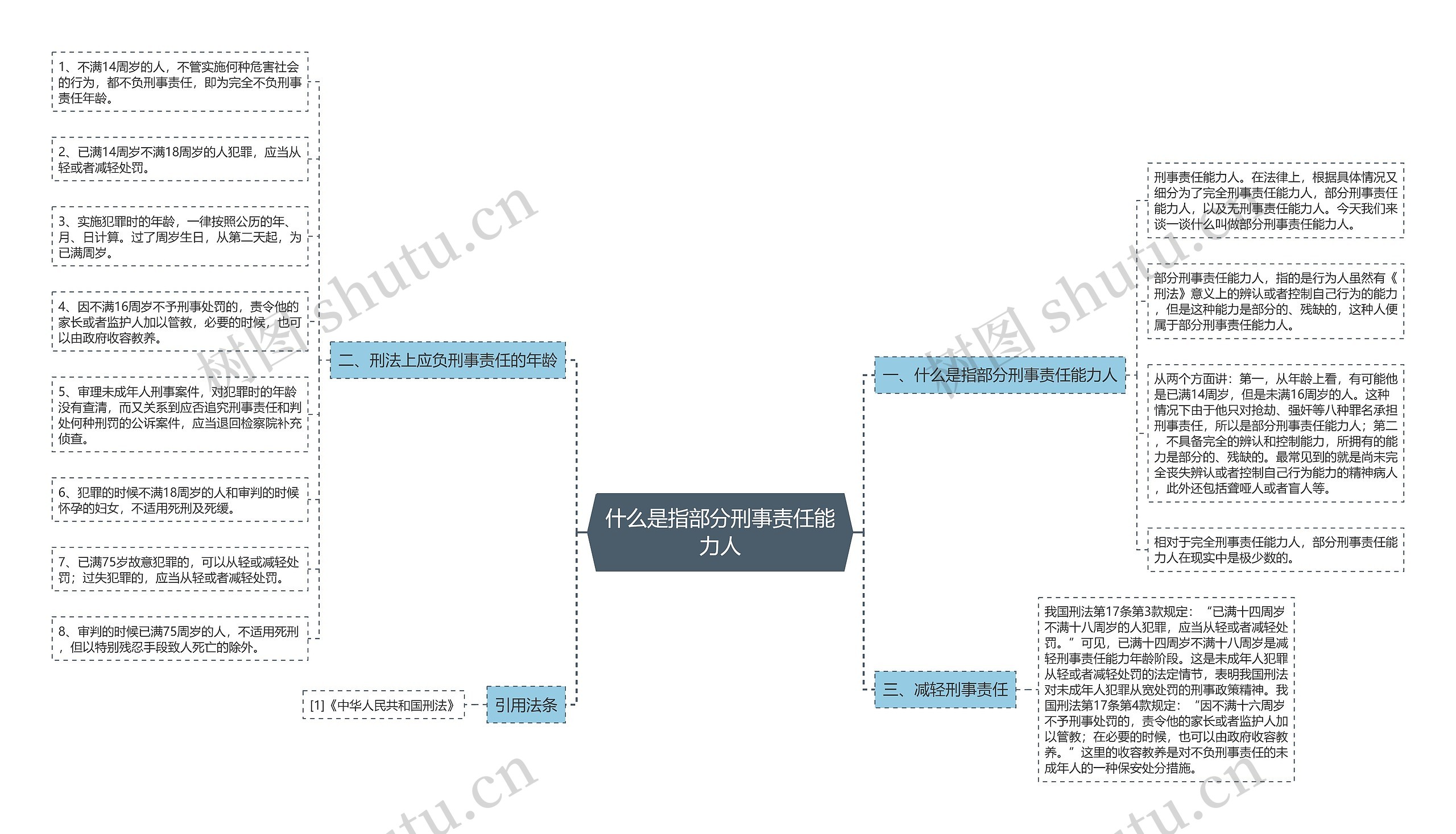 什么是指部分刑事责任能力人