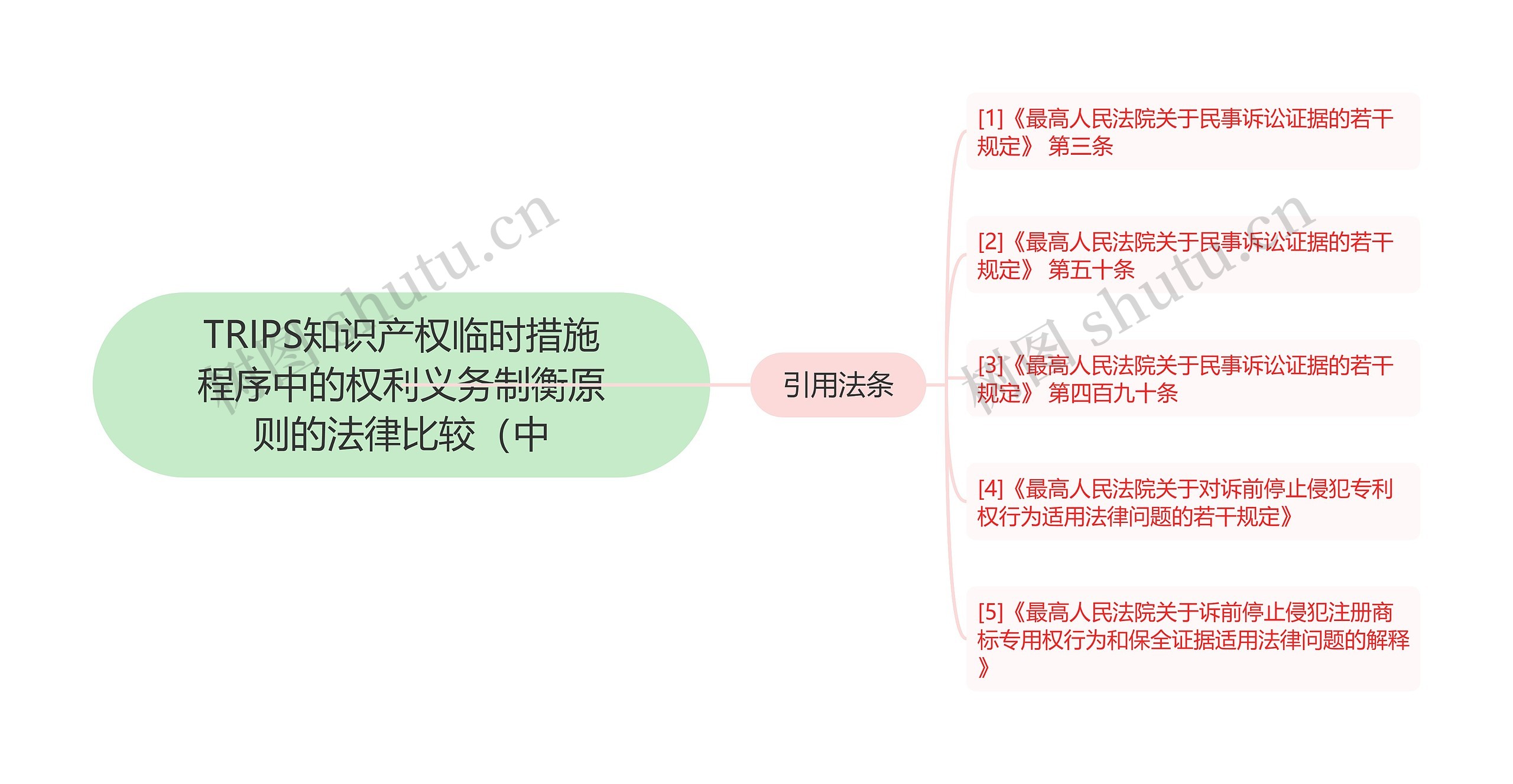 TRIPS知识产权临时措施程序中的权利义务制衡原则的法律比较（中