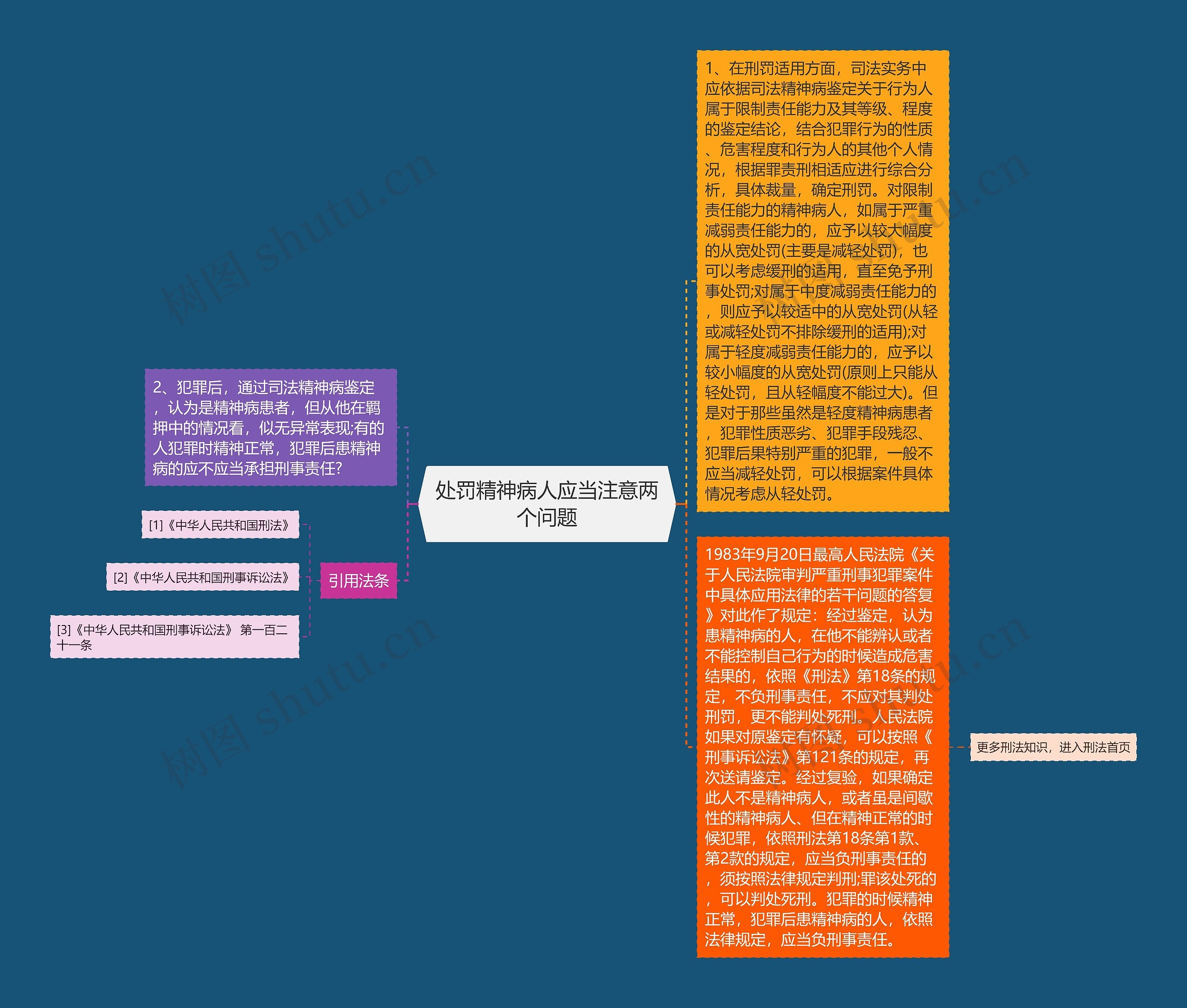 处罚精神病人应当注意两个问题思维导图