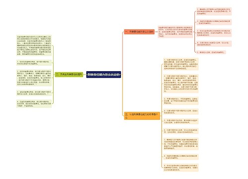 刑事责任能力怎么认定的