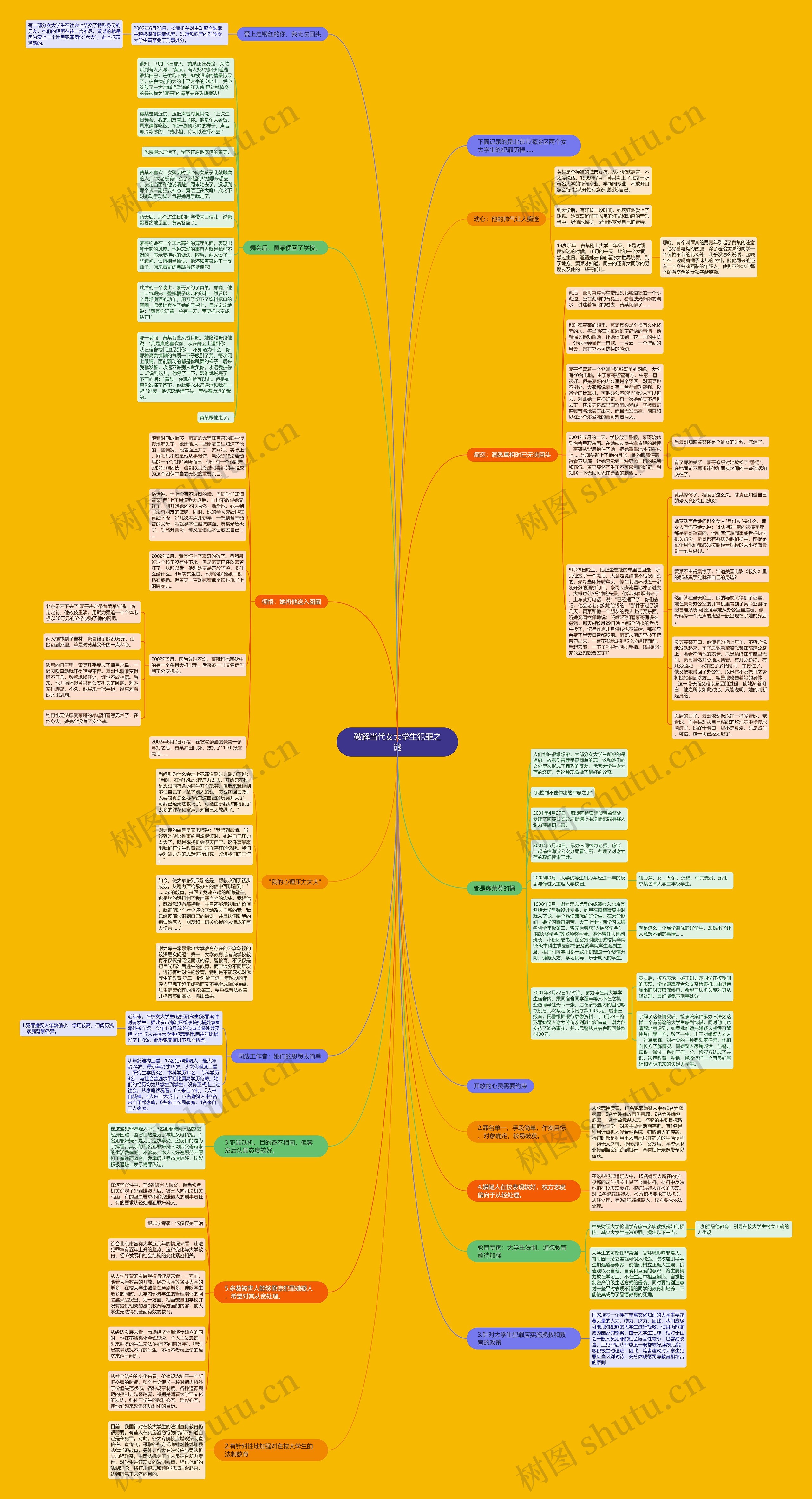 破解当代女大学生犯罪之谜思维导图