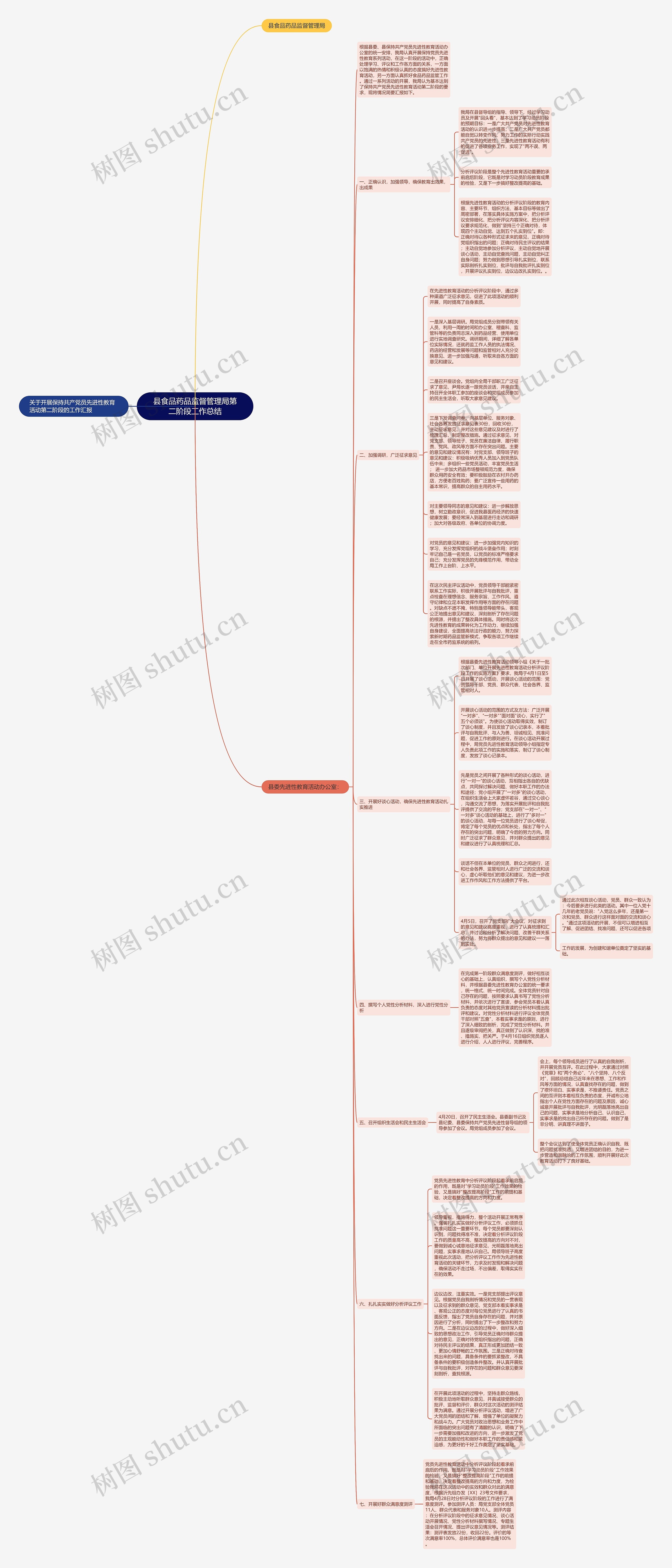 县食品药品监督管理局第二阶段工作总结思维导图