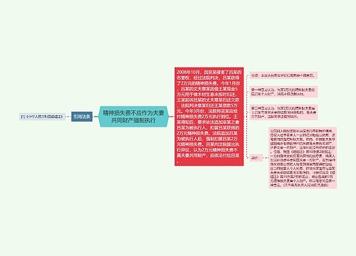 精神损失费不应作为夫妻共同财产强制执行