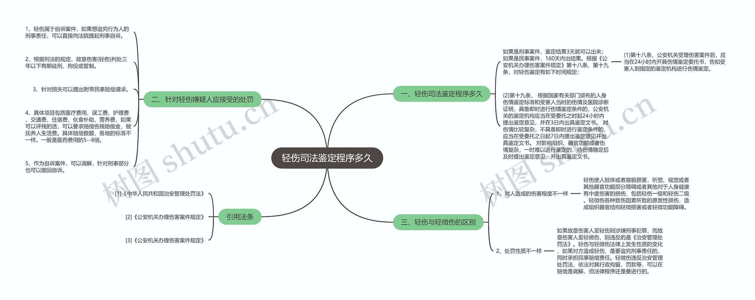 轻伤司法鉴定程序多久思维导图