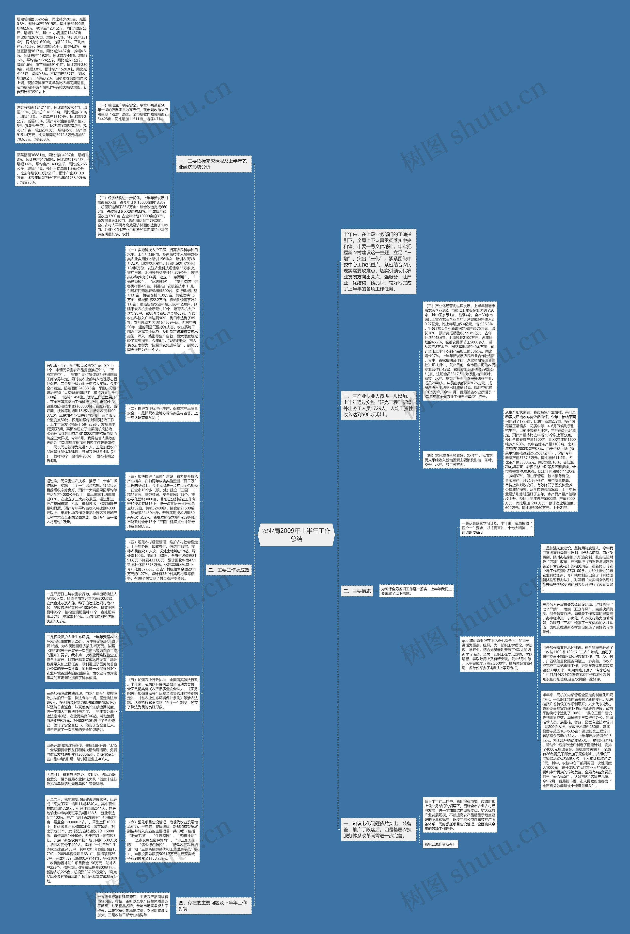 农业局2009年上半年工作总结思维导图