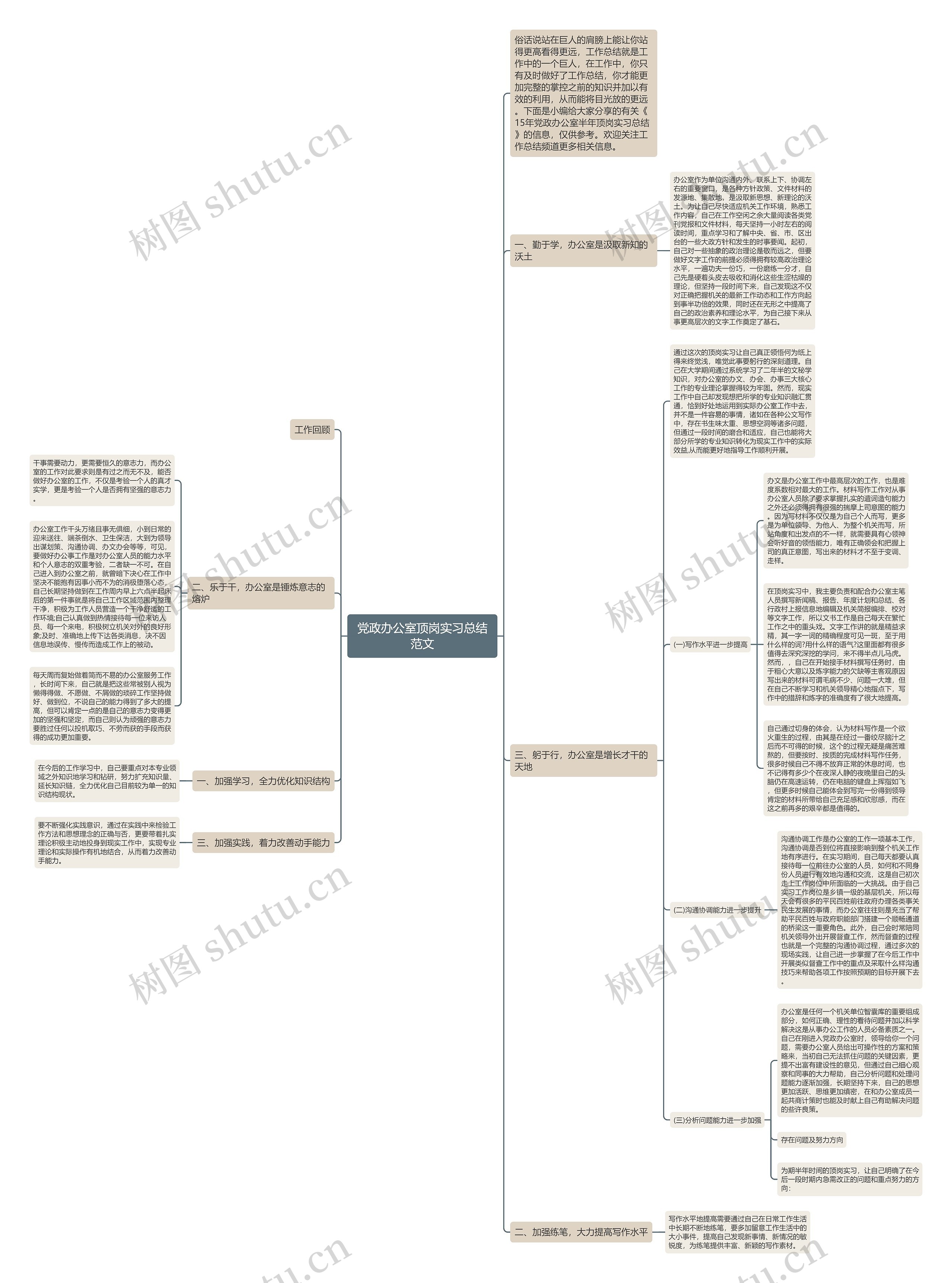 党政办公室顶岗实习总结范文思维导图