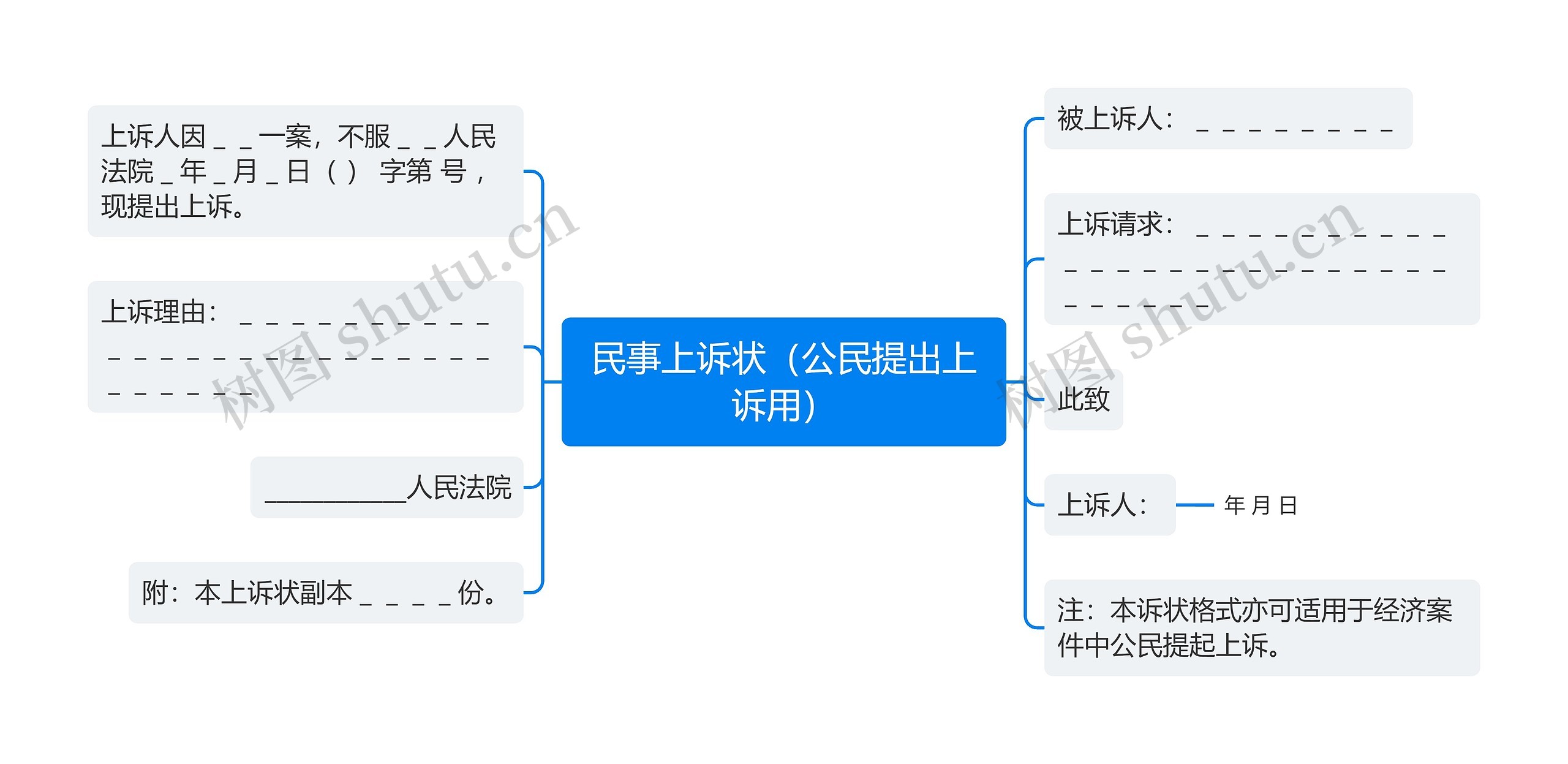 民事上诉状（公民提出上诉用）