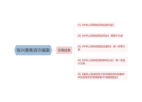 张兴善集资诈骗案