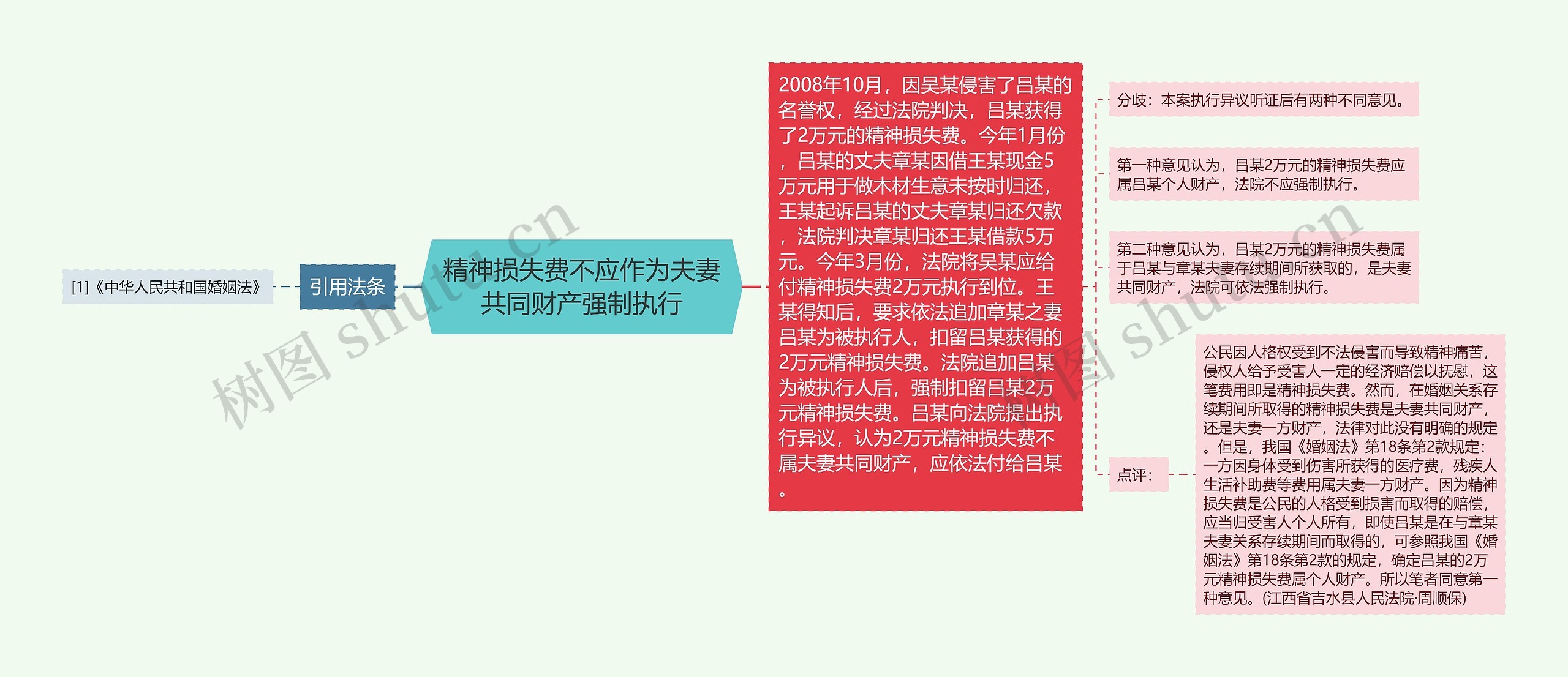 精神损失费不应作为夫妻共同财产强制执行