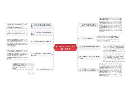 港口区法院“阳光”执行公开承诺书