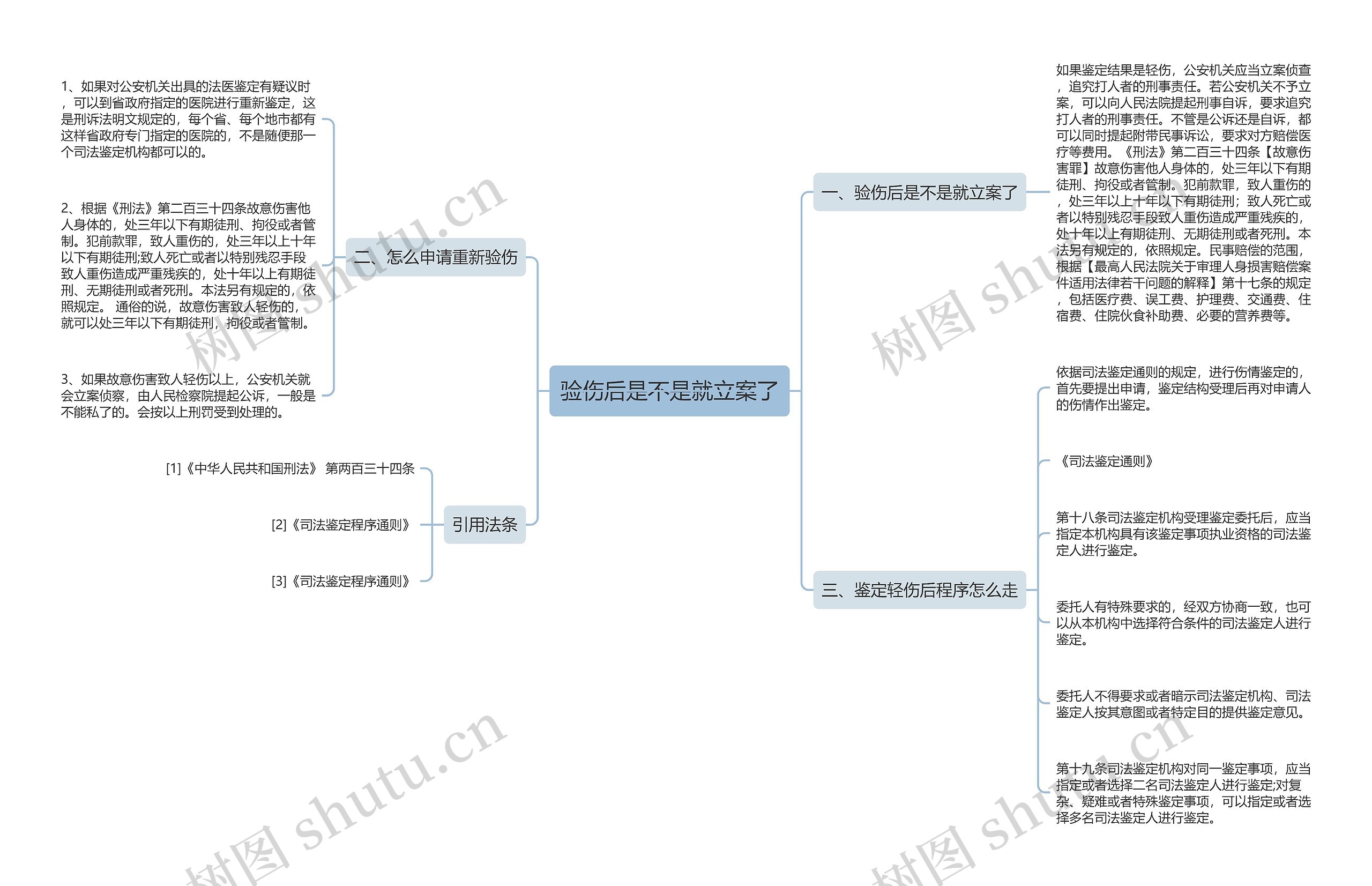 验伤后是不是就立案了思维导图