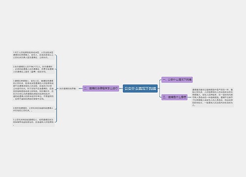 公安什么情况下拘捕