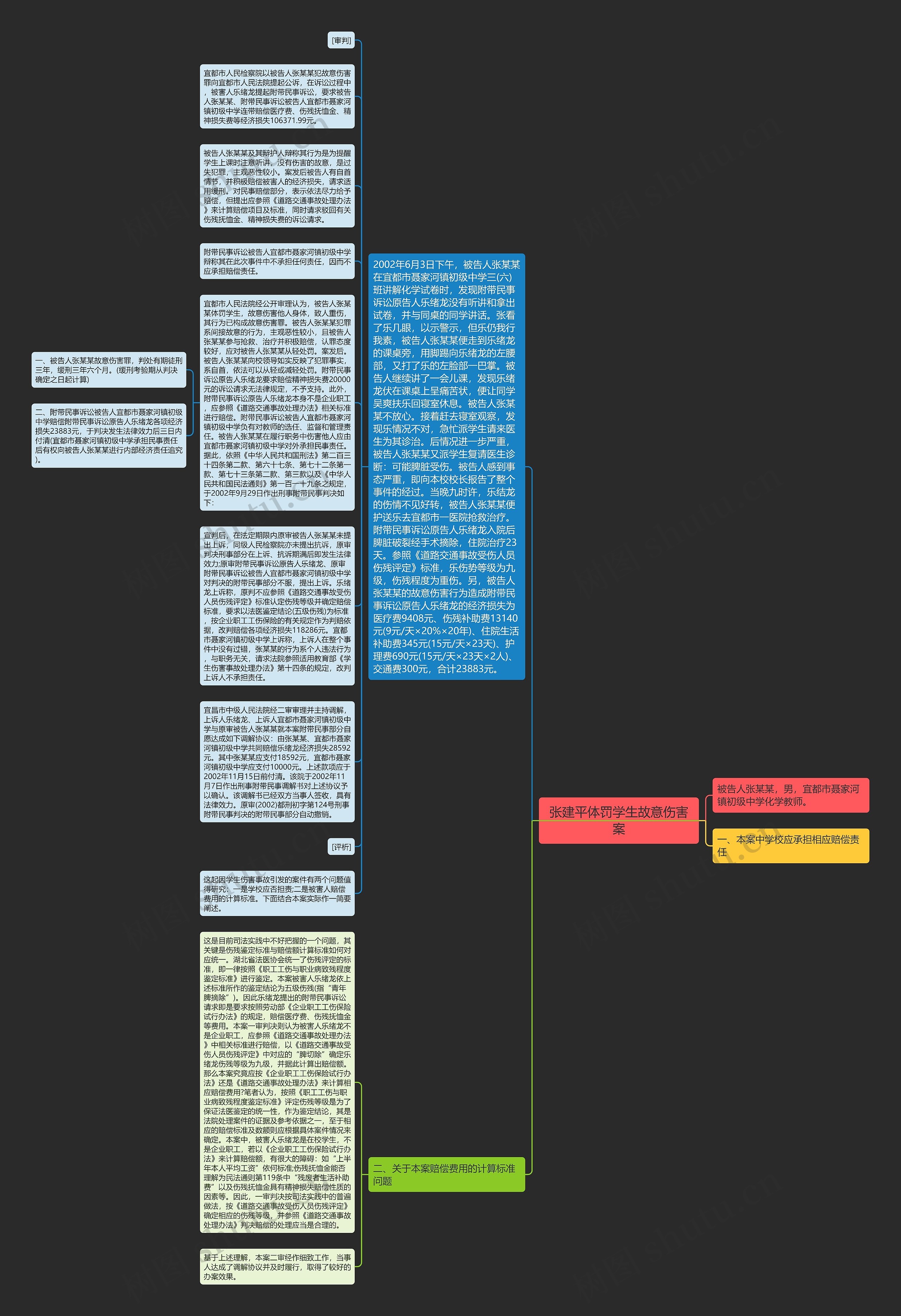 张建平体罚学生故意伤害案思维导图