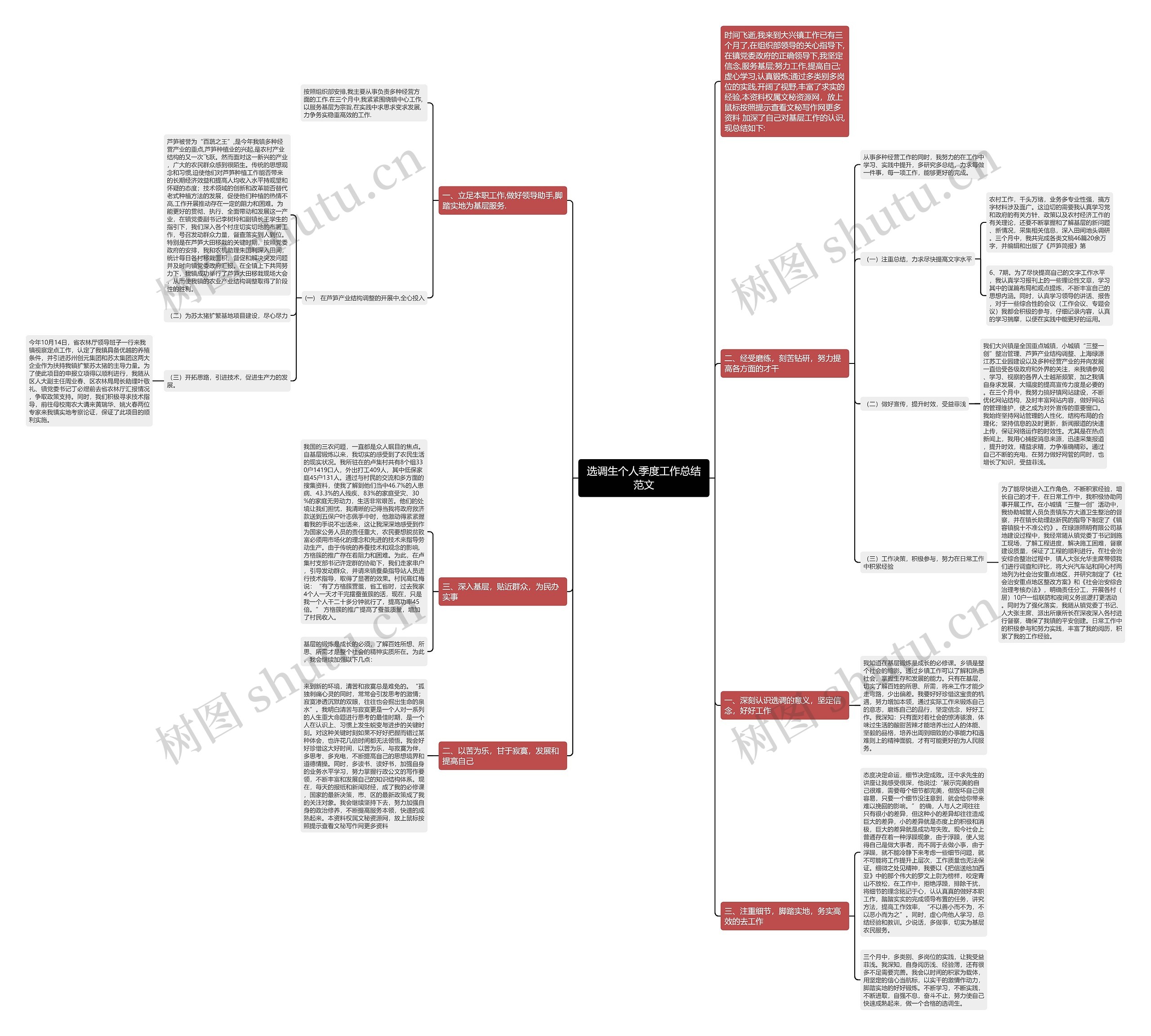 选调生个人季度工作总结范文思维导图