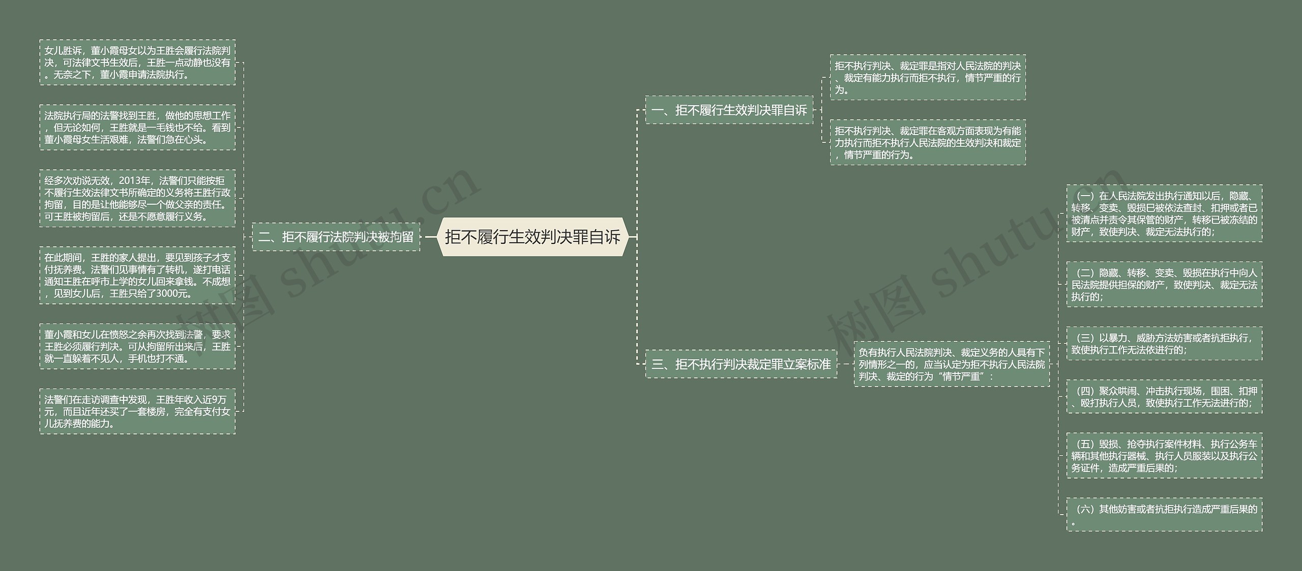 拒不履行生效判决罪自诉思维导图