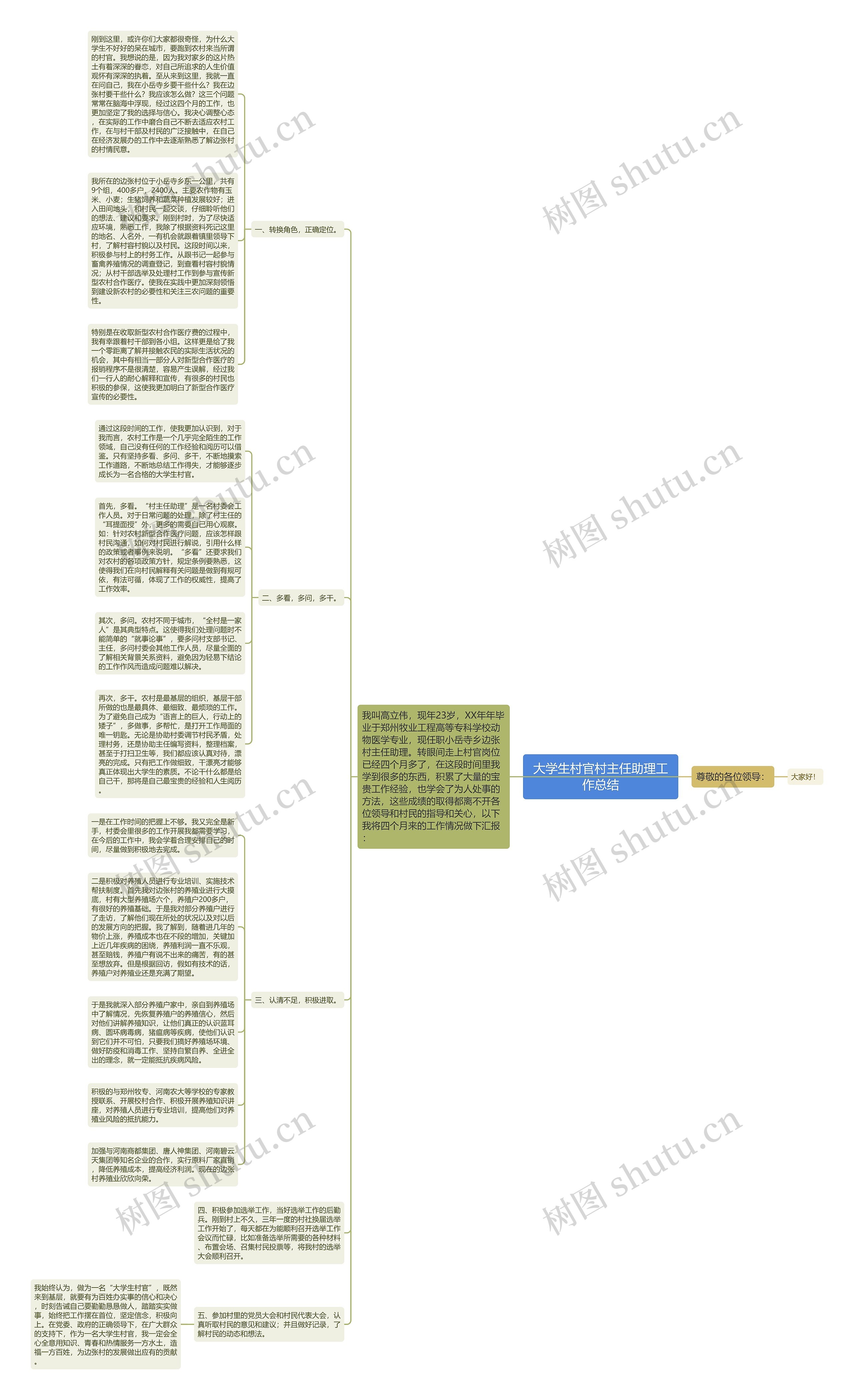 大学生村官村主任助理工作总结思维导图