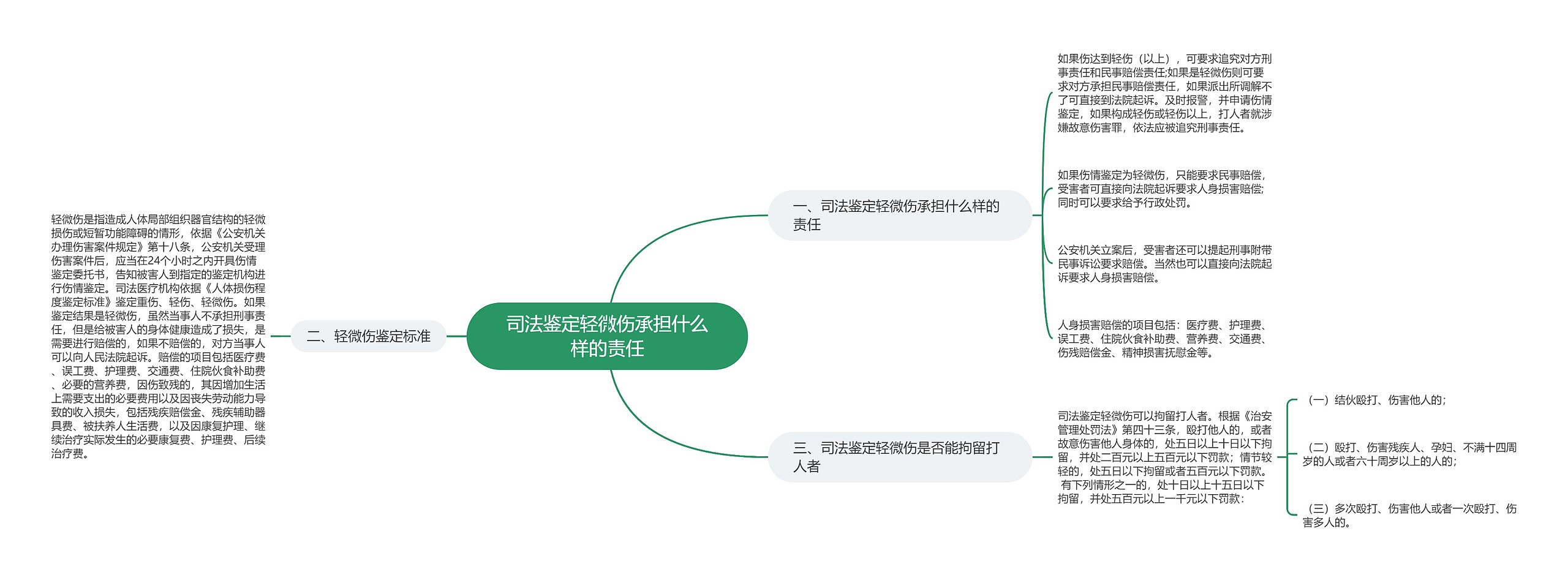 司法鉴定轻微伤承担什么样的责任